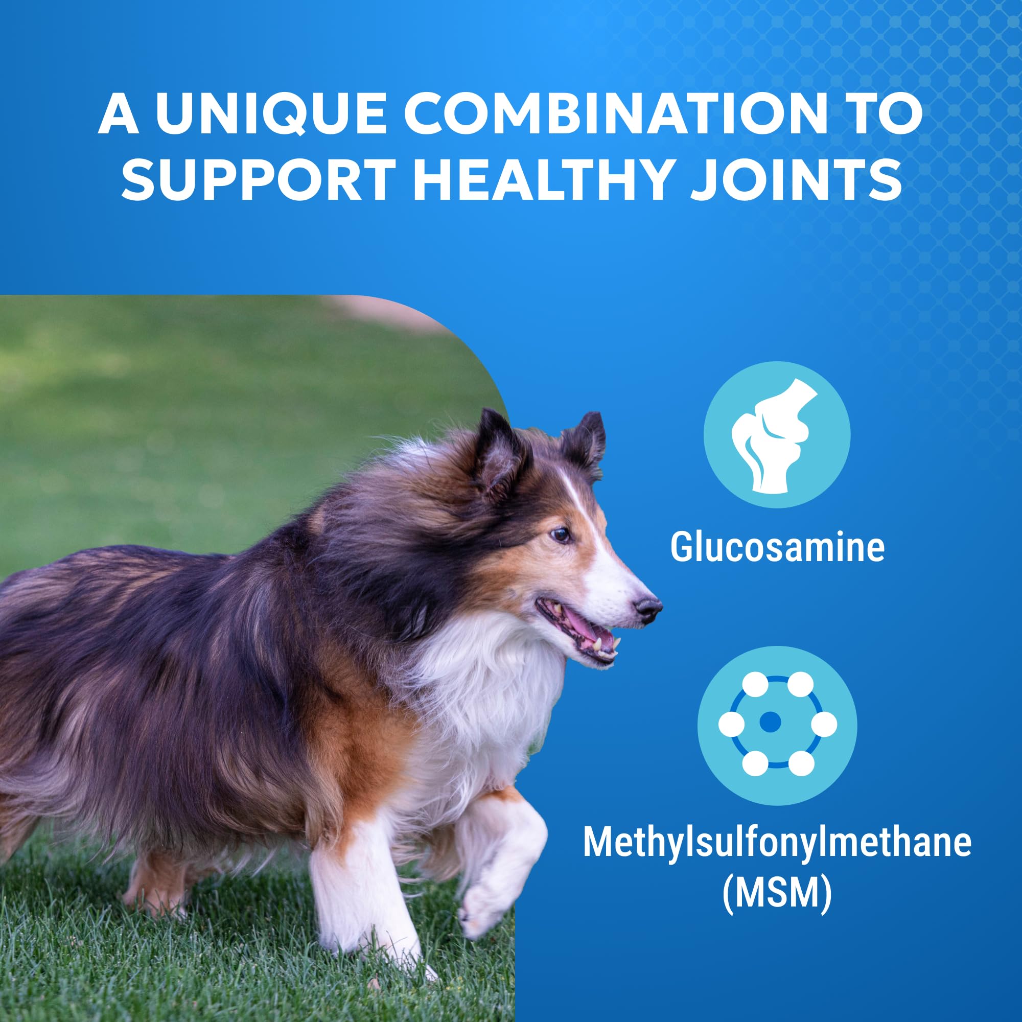 Nutramax Cosequin Elements Dogs Joint Health Supplement, Contains Glucosamine for Dogs, MSM, Supports Healthy Joints, For All Breeds and Sizes, Chewable Tablets, 75 Count - Image 3
