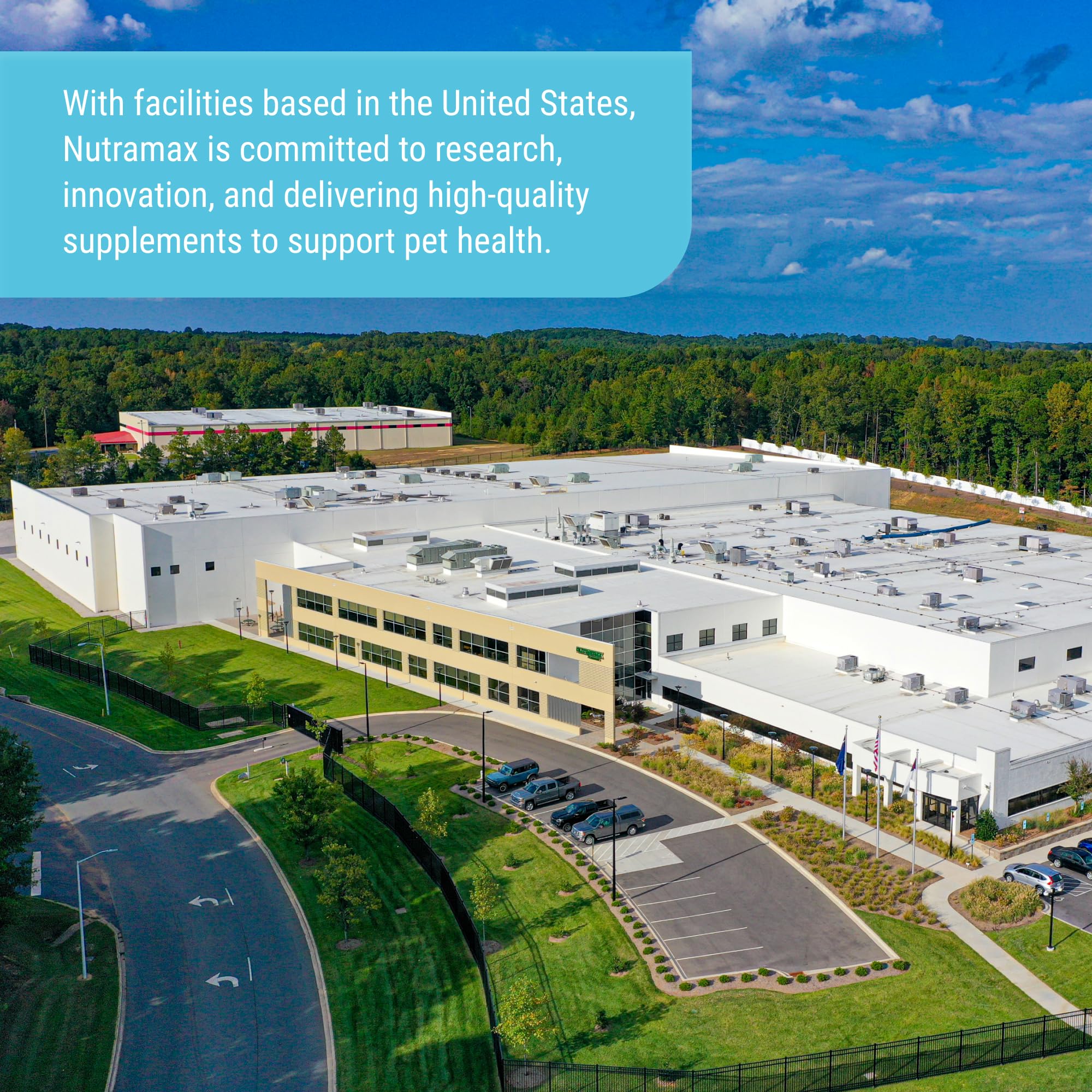 Nutramax Cosequin Elements Dogs Joint Health Supplement, Contains Glucosamine for Dogs, MSM, Supports Healthy Joints, For All Breeds and Sizes, Chewable Tablets, 75 Count - Image 7