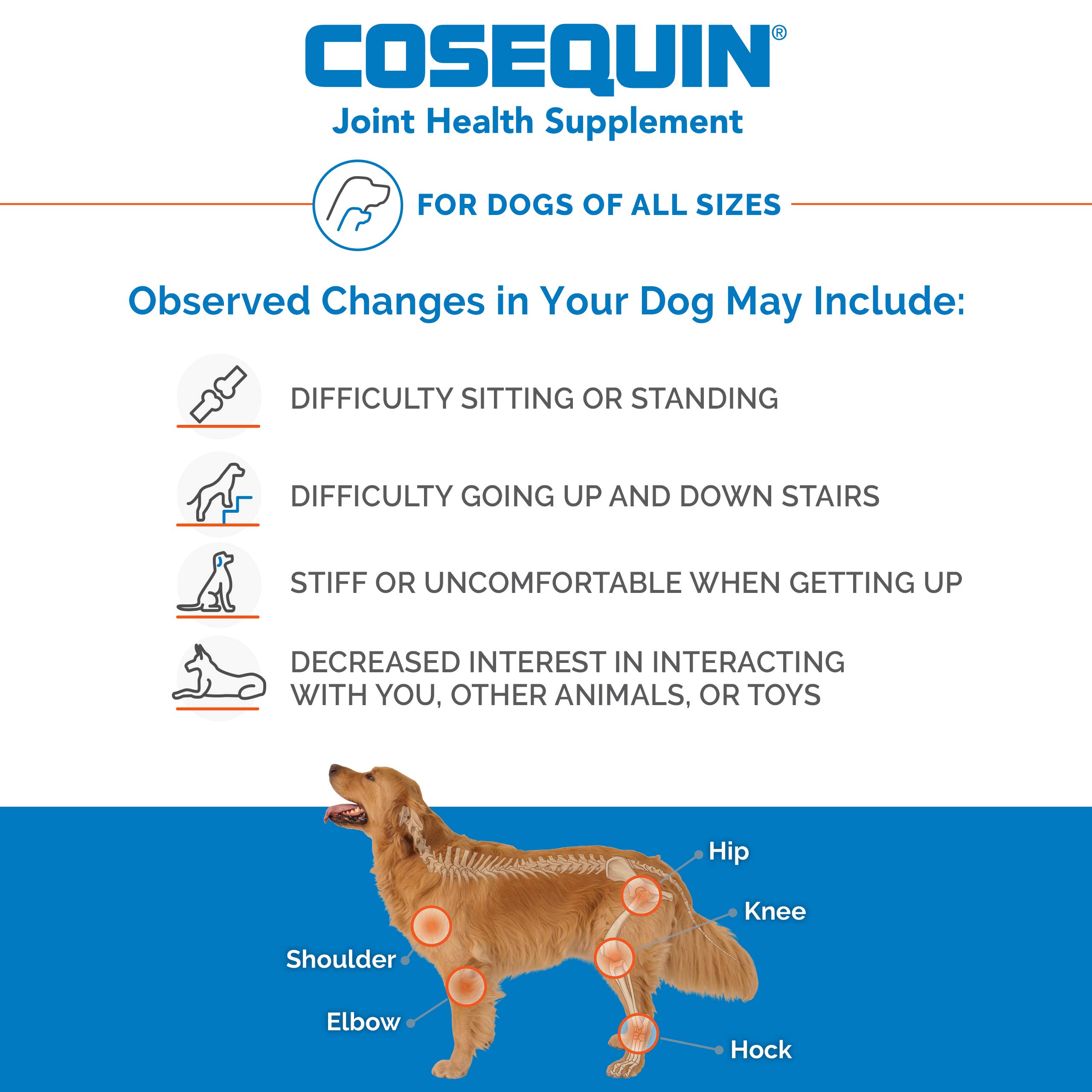 Nutramax Cosequin for Dogs Joint Health Supplement, Contains Glucosamine for Dogs, Plus Chondroitin, Supports Healthy Joints, Chewable Tablets, 250 Count - Image 3