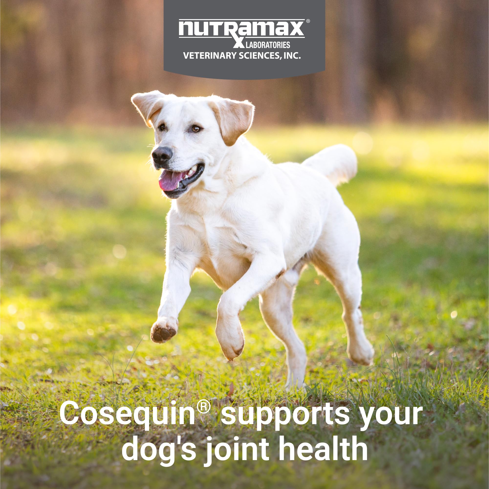 Nutramax Cosequin for Dogs Joint Health Supplement, Contains Glucosamine for Dogs, Plus Chondroitin, Supports Healthy Joints, Sprinkle Capsules, 132 Count - Image 4
