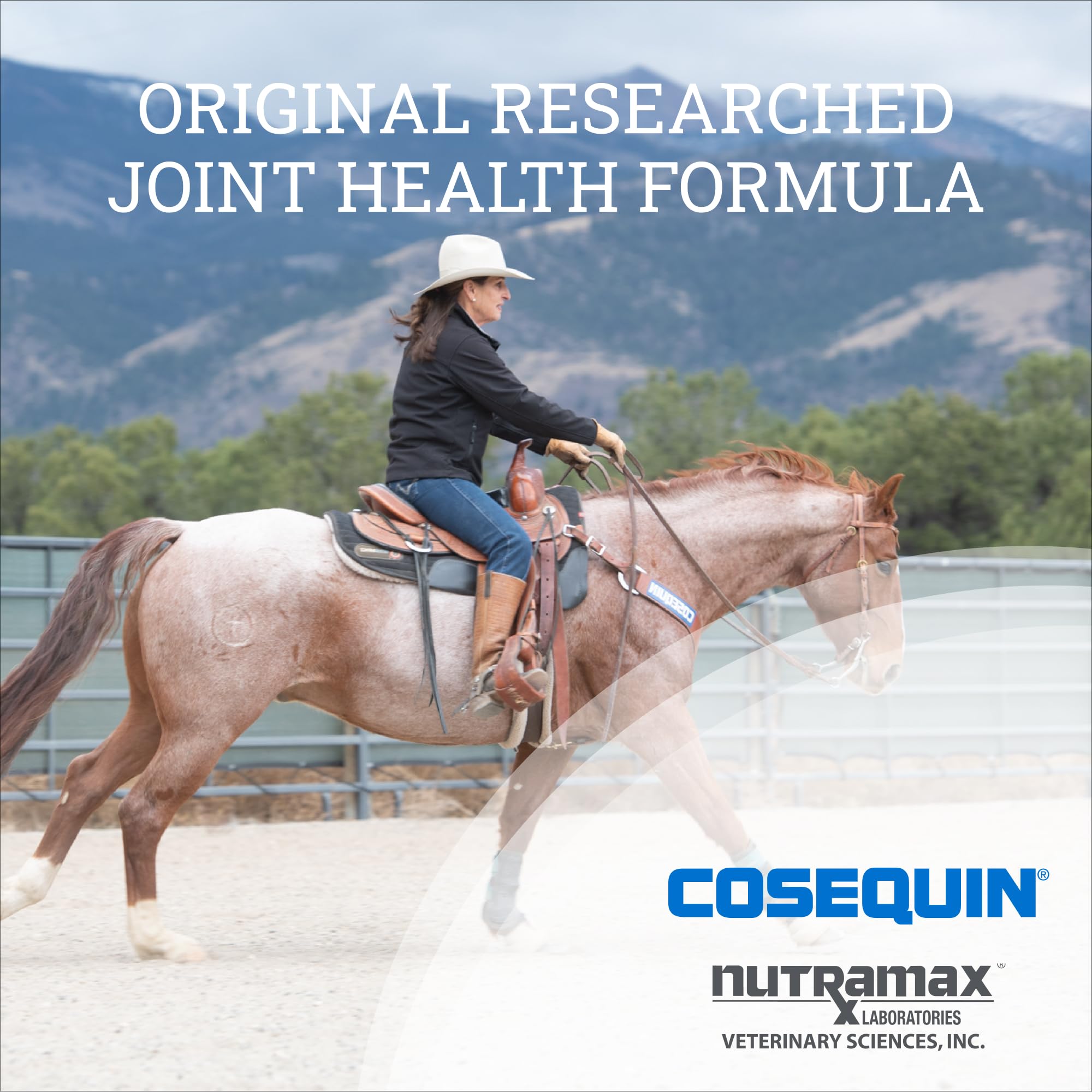 Nutramax Cosequin Original Pellets Joint Health Supplement for Horses - with Glucosamine and Chondroitin, 2 lbs - Image 3