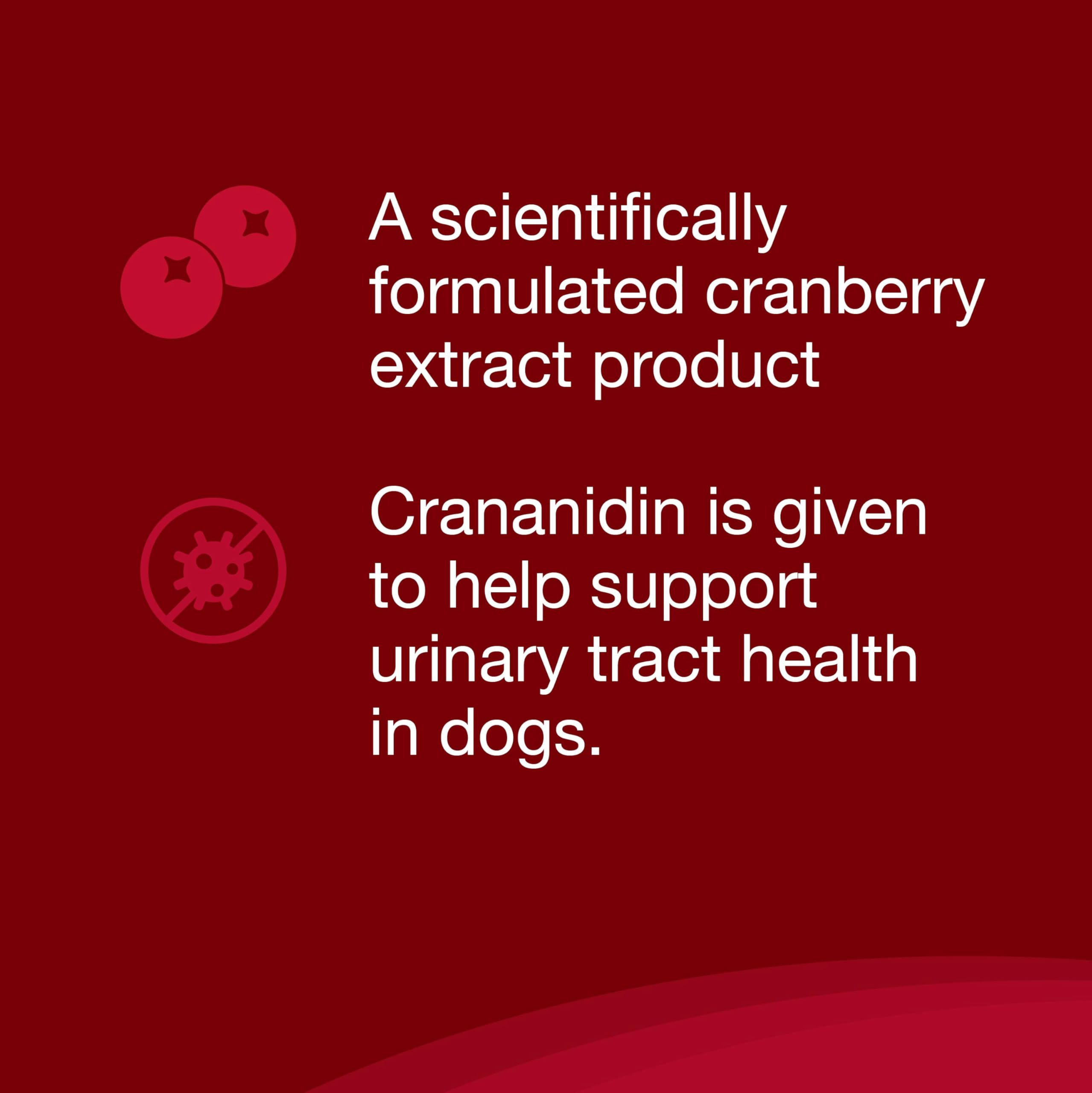 Nutramax Crananidin for Dogs, Urinary Tract Health and Bladder Health Support, Cranberry Supplement for Dogs of all Breeds and Sizes, Chewable Tablets, 75 Count - Image 4