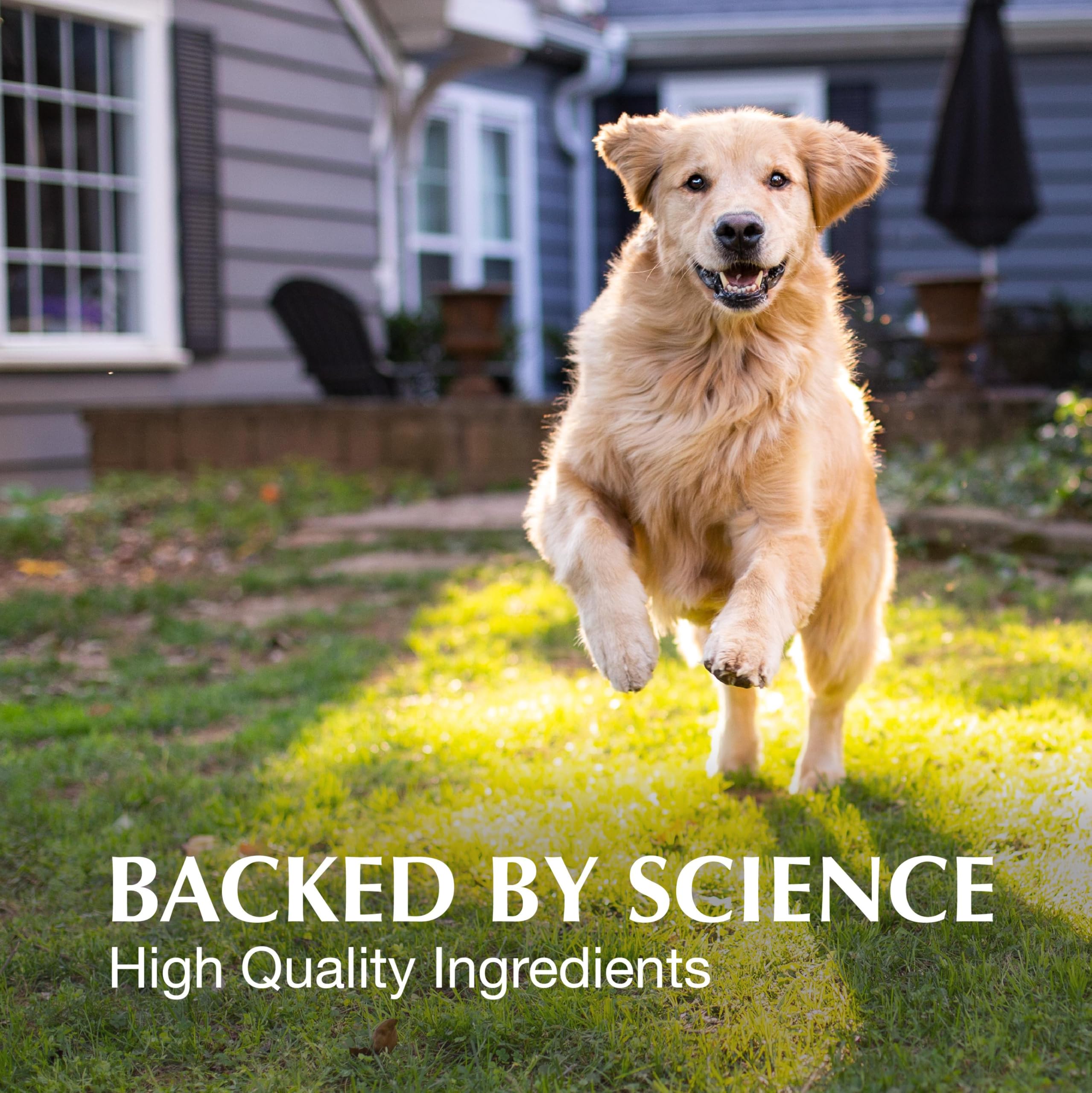 Nutramax Crananidin for Dogs, Urinary Tract Health and Bladder Health Support, Cranberry Supplement for Dogs of all Breeds and Sizes, Chewable Tablets, 75 Count - Image 5