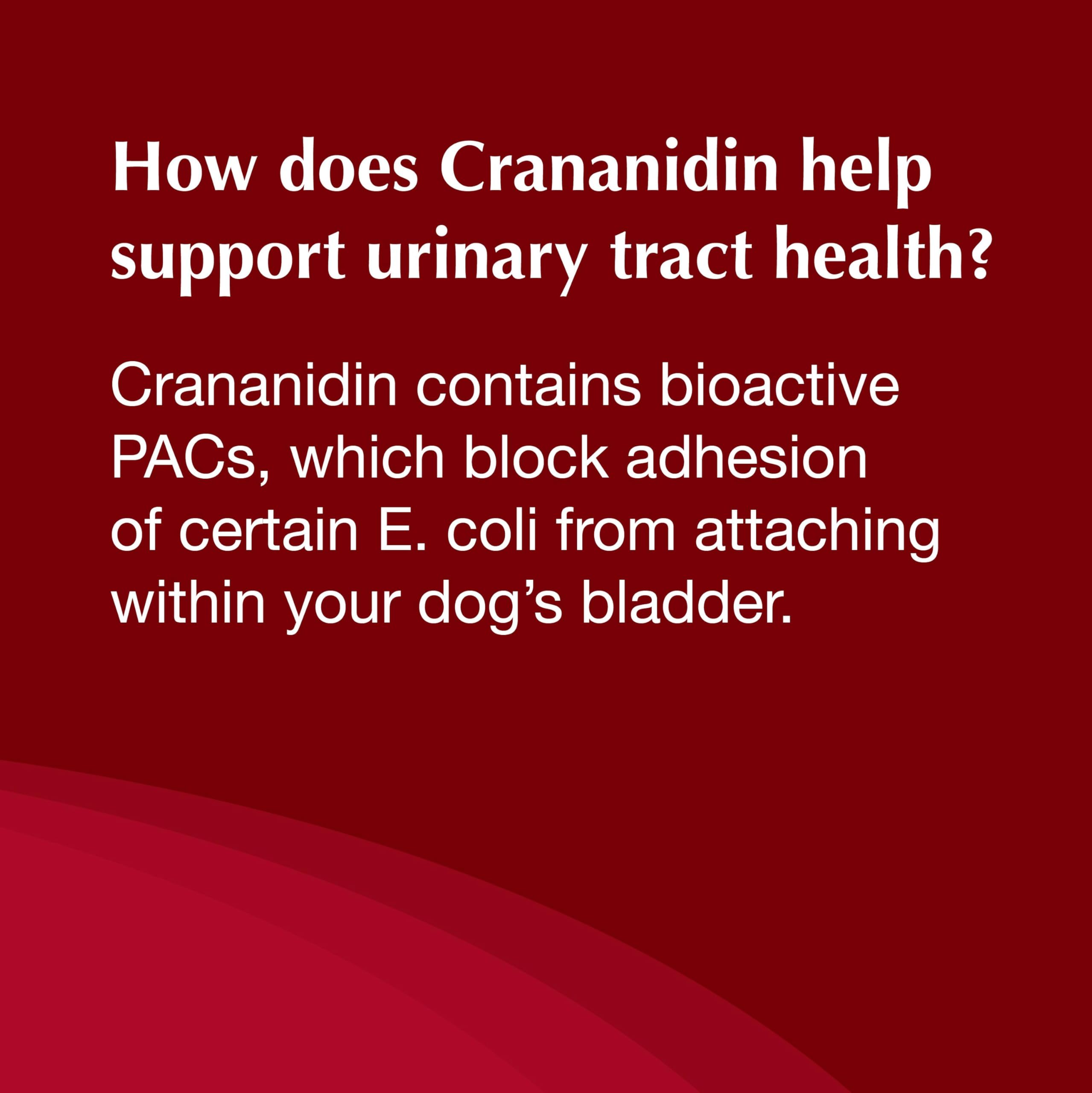 Nutramax Crananidin for Dogs, Urinary Tract Health and Bladder Health Support, Cranberry Supplement for Dogs of all Breeds and Sizes, Chewable Tablets, 75 Count - Image 9