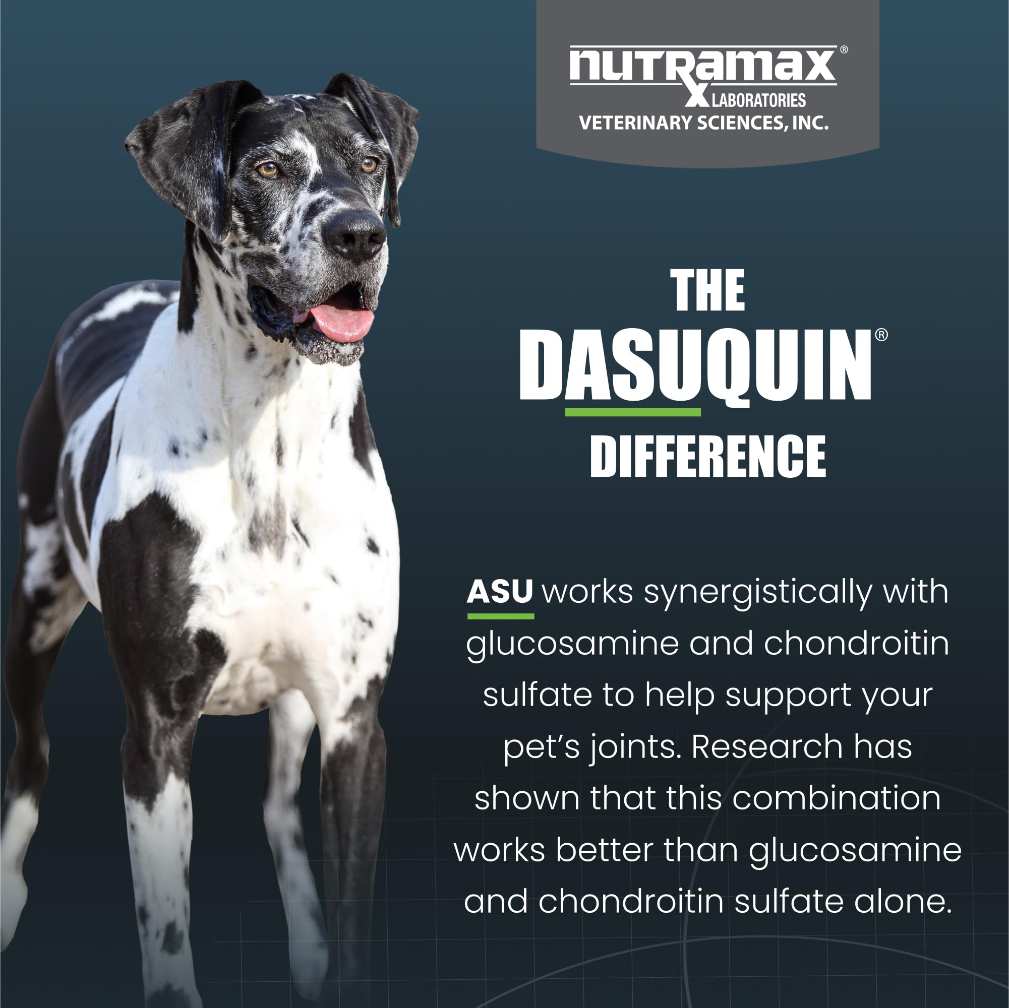Nutramax Dasuquin for Large Dogs, Joint Health Supplement, Contains Glucosamine for Dogs, Plus Chondroitin, ASU and More, Supports Healthy Joints, Soft Chews, 150 Count - Image 6