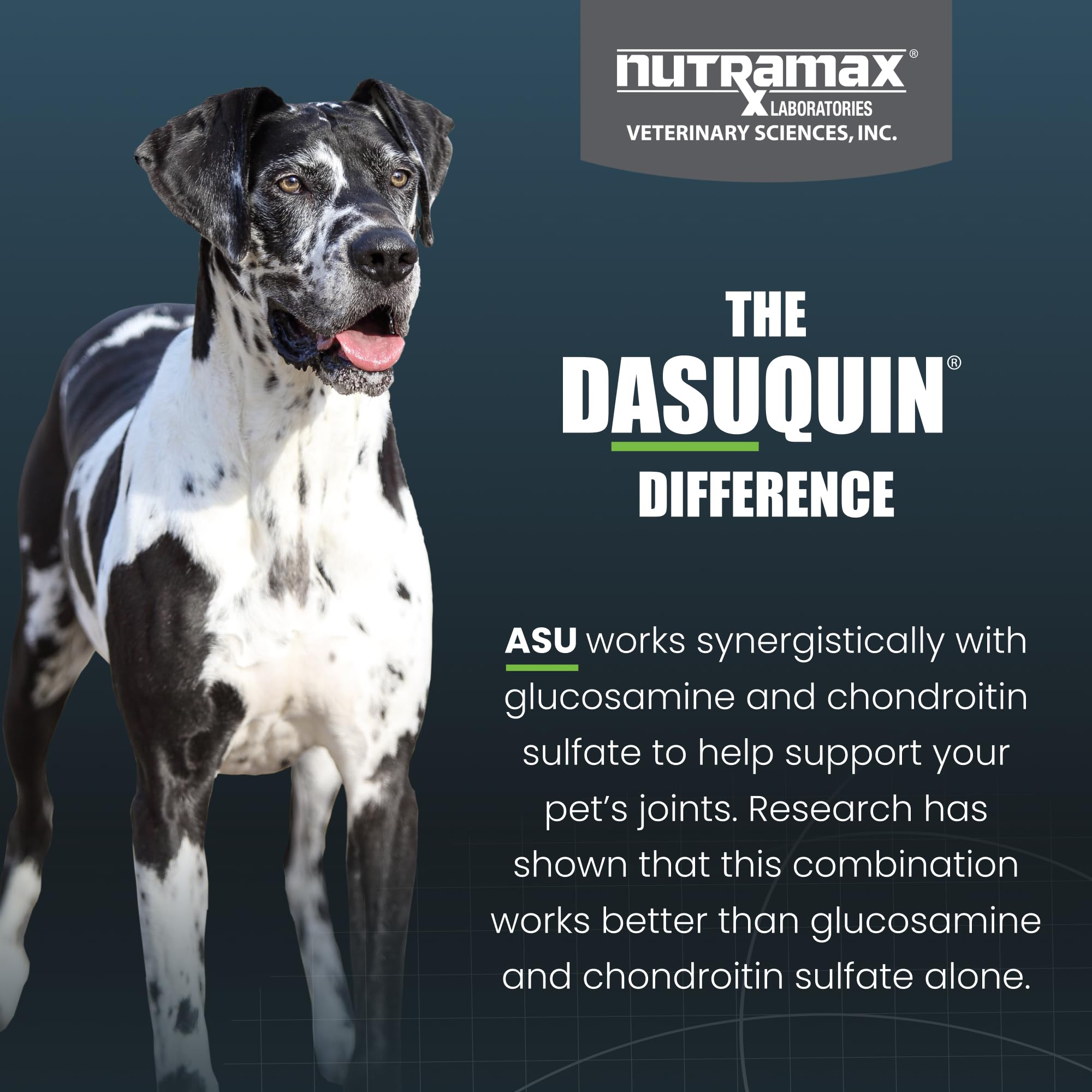Nutramax Dasuquin for Large Dogs, Joint Health Supplement, Contains Glucosamine for Dogs, Plus Chondroitin, ASU, MSM and More, Supports Healthy Joints, Soft Chews, 150 Count - Image 6