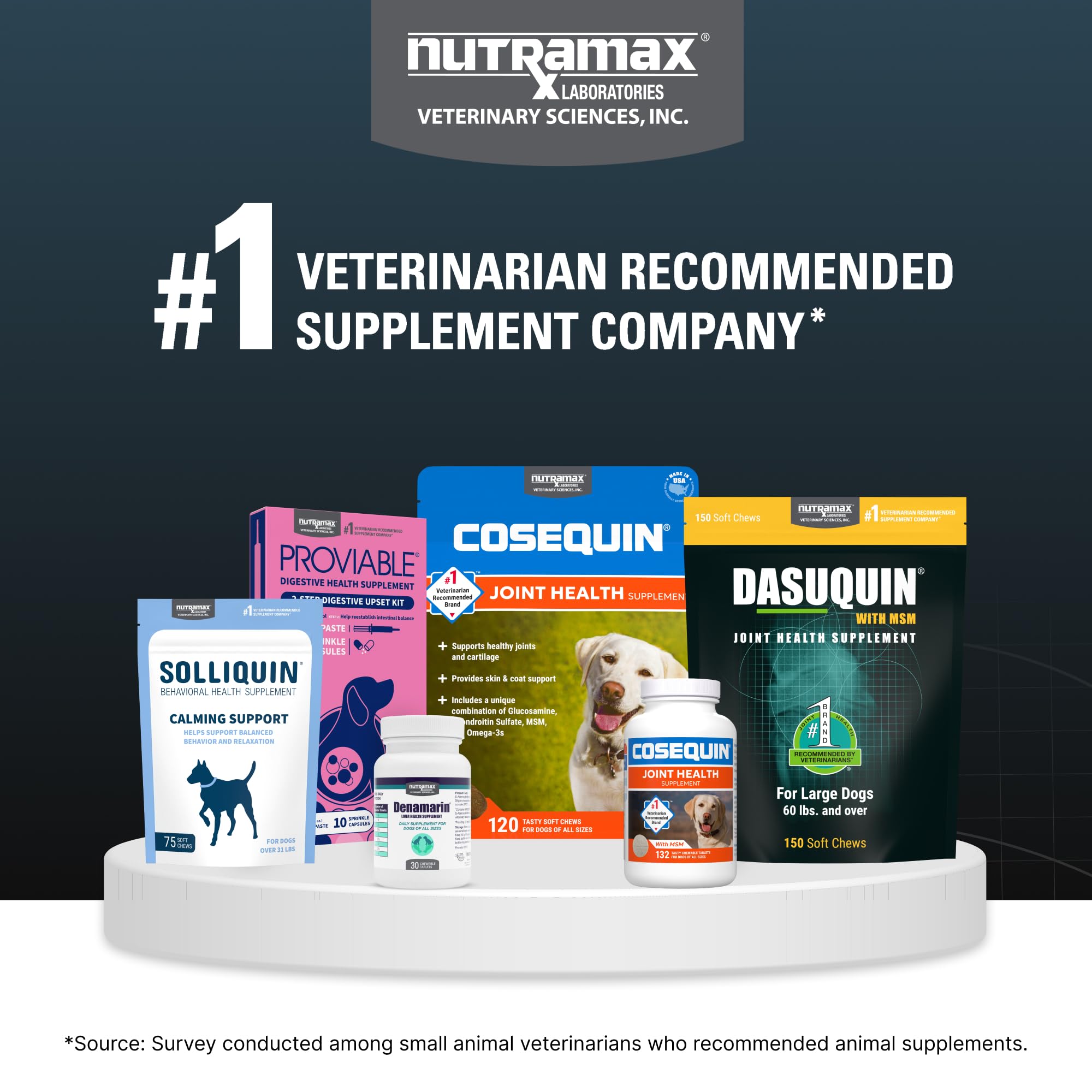 Nutramax Dasuquin for Large Dogs, Joint Health Supplement, Contains Glucosamine for Dogs, Plus Chondroitin, ASU, MSM and More, Supports Healthy Joints, Soft Chews, 150 Count - Image 9
