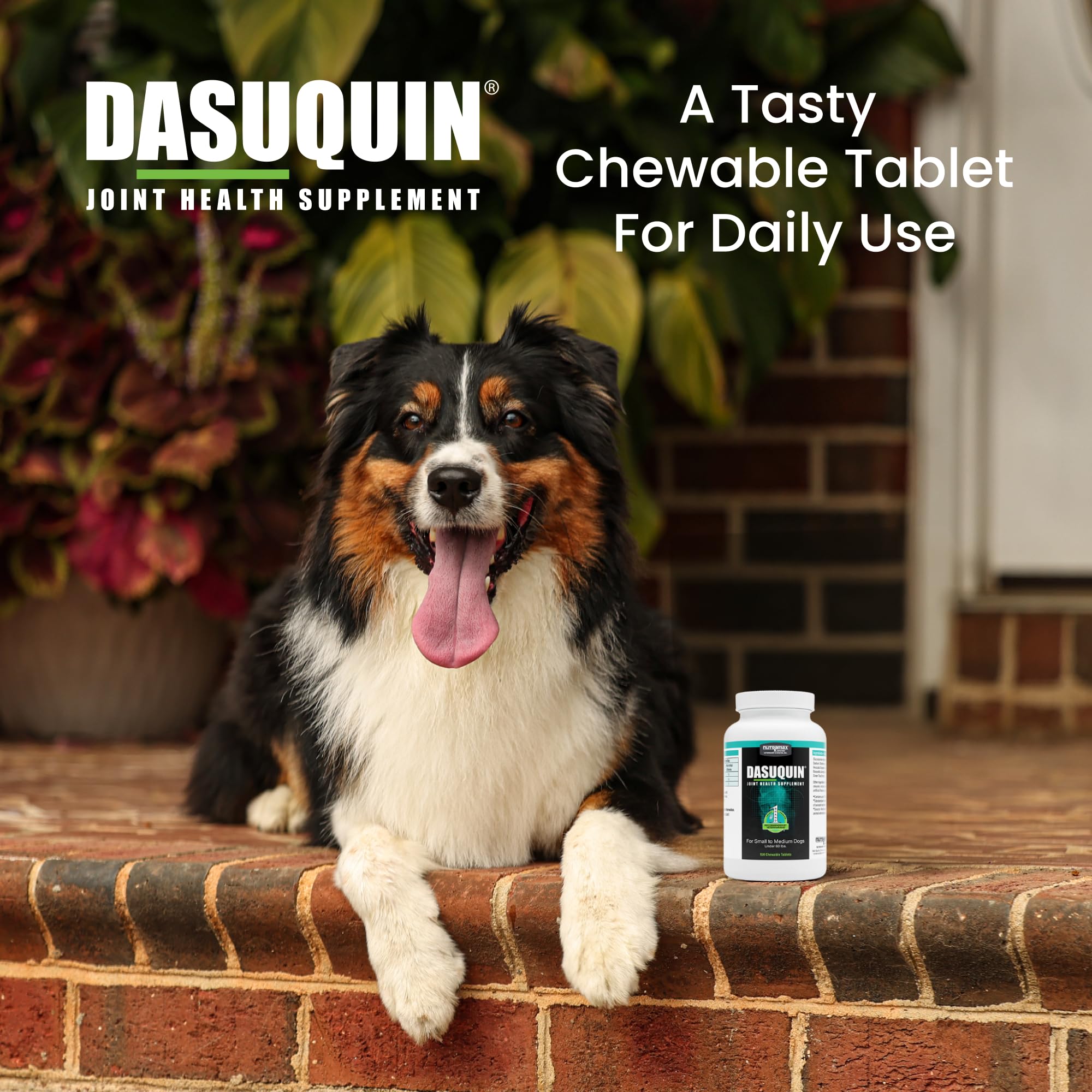 Nutramax Dasuquin for Small to Medium Dogs, Joint Health Supplement, Contains Glucosamine for Dogs, Plus Chondroitin, ASU and More, Supports Healthy Joints, Chewable Tablets, 150 Count - Image 4