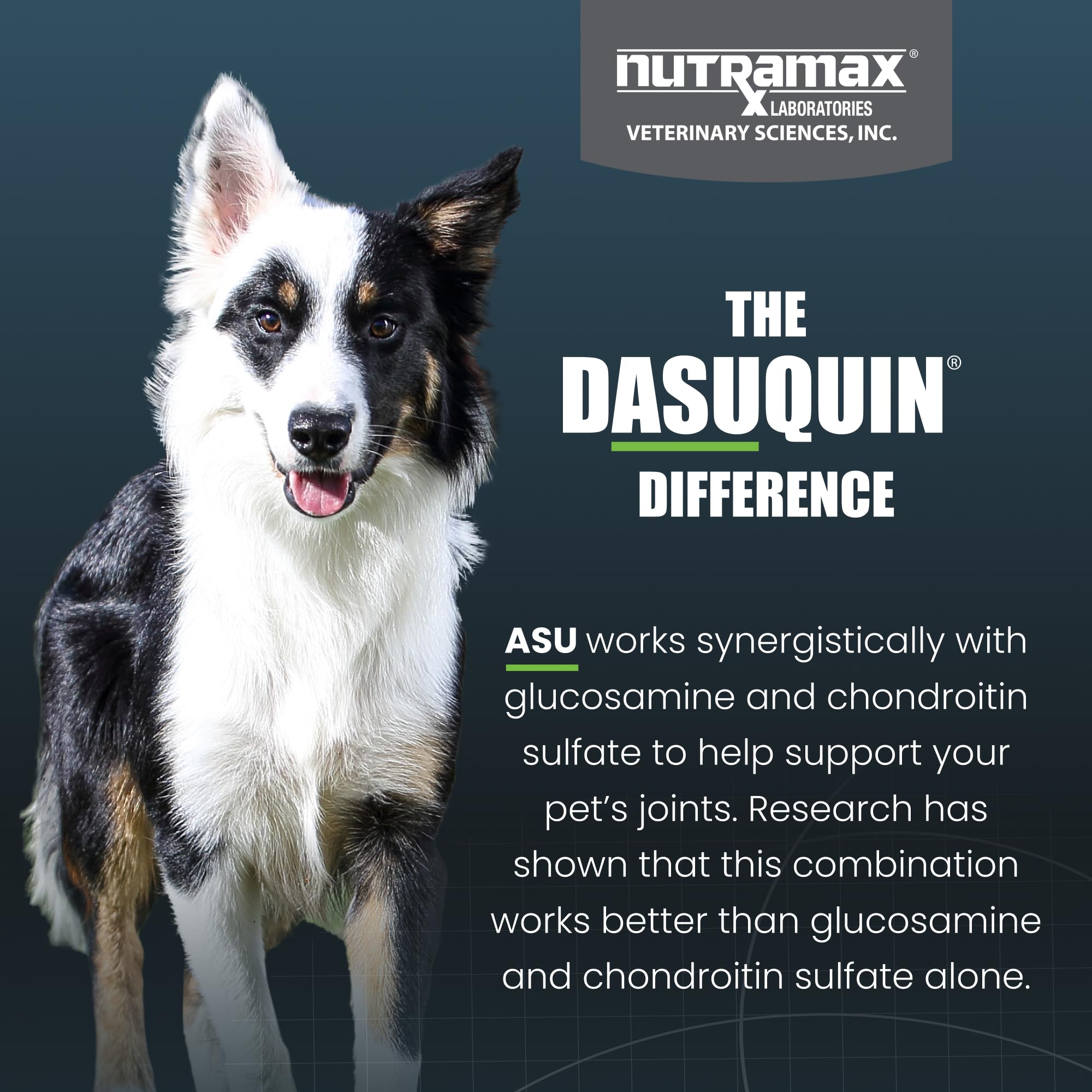 Nutramax Dasuquin for Small to Medium Dogs, Joint Health Supplement, Contains Glucosamine for Dogs, Plus Chondroitin, ASU, MSM and More, Supports Healthy Joints, Chewable Tablets, 150 Count - Image 6