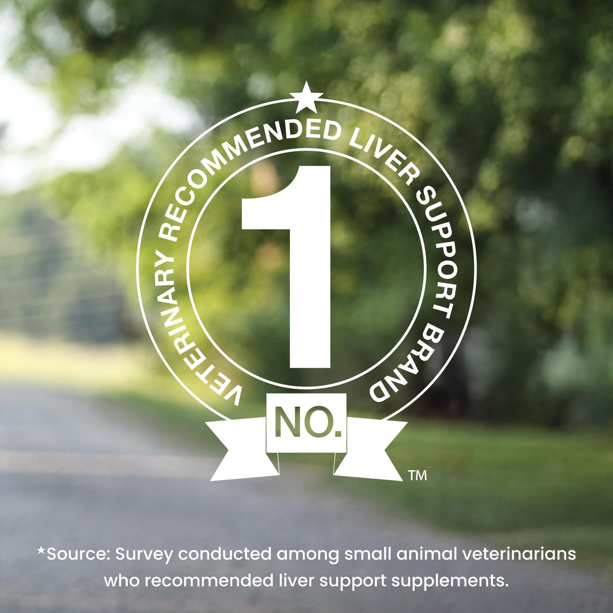 Nutramax Denamarin for Large Dogs, Liver Health Supplement with S-adenosylmethionine (SAMe) plus Silybin, Liver Support for Dogs, Coated Tablets, 30 Count - Image 3