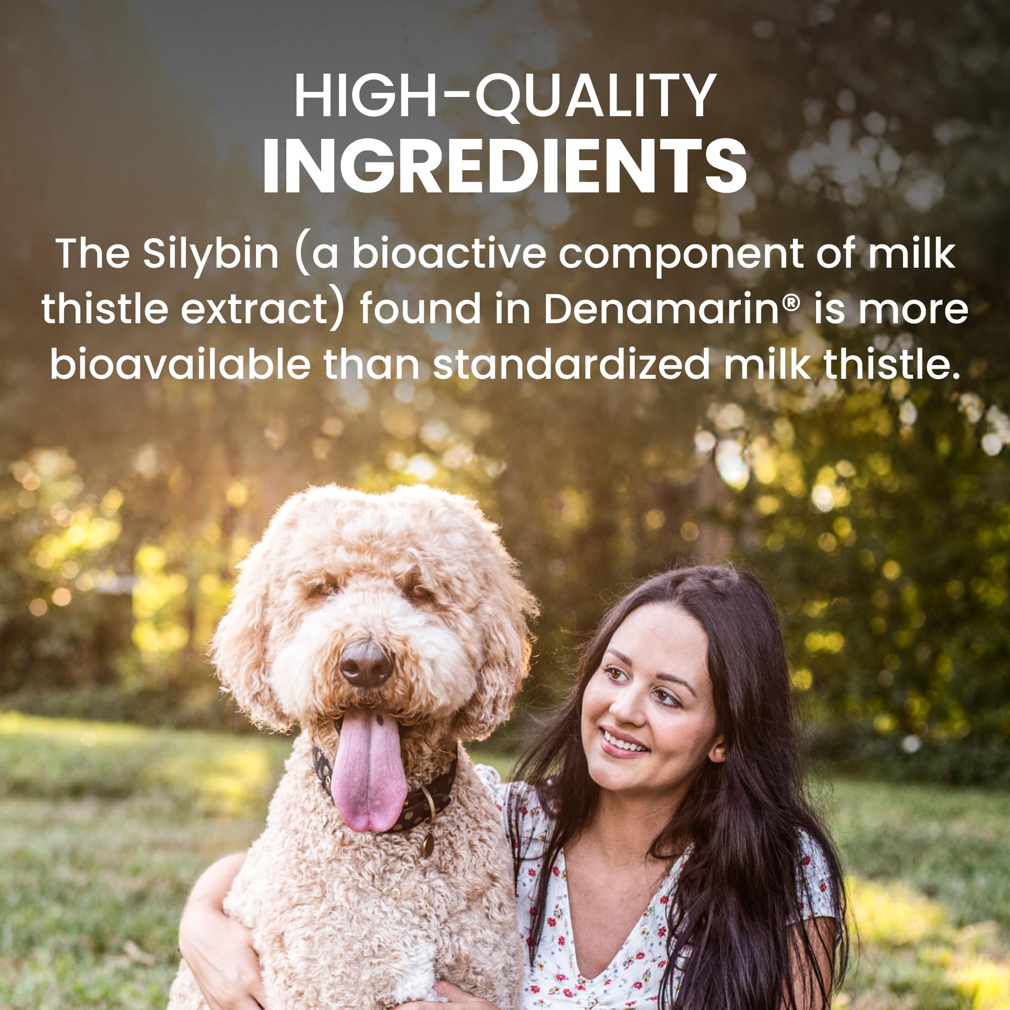 Nutramax Denamarin for Large Dogs, Liver Health Supplement with S-adenosylmethionine (SAMe) plus Silybin, Liver Support for Dogs, Coated Tablets, 30 Count - Image 4