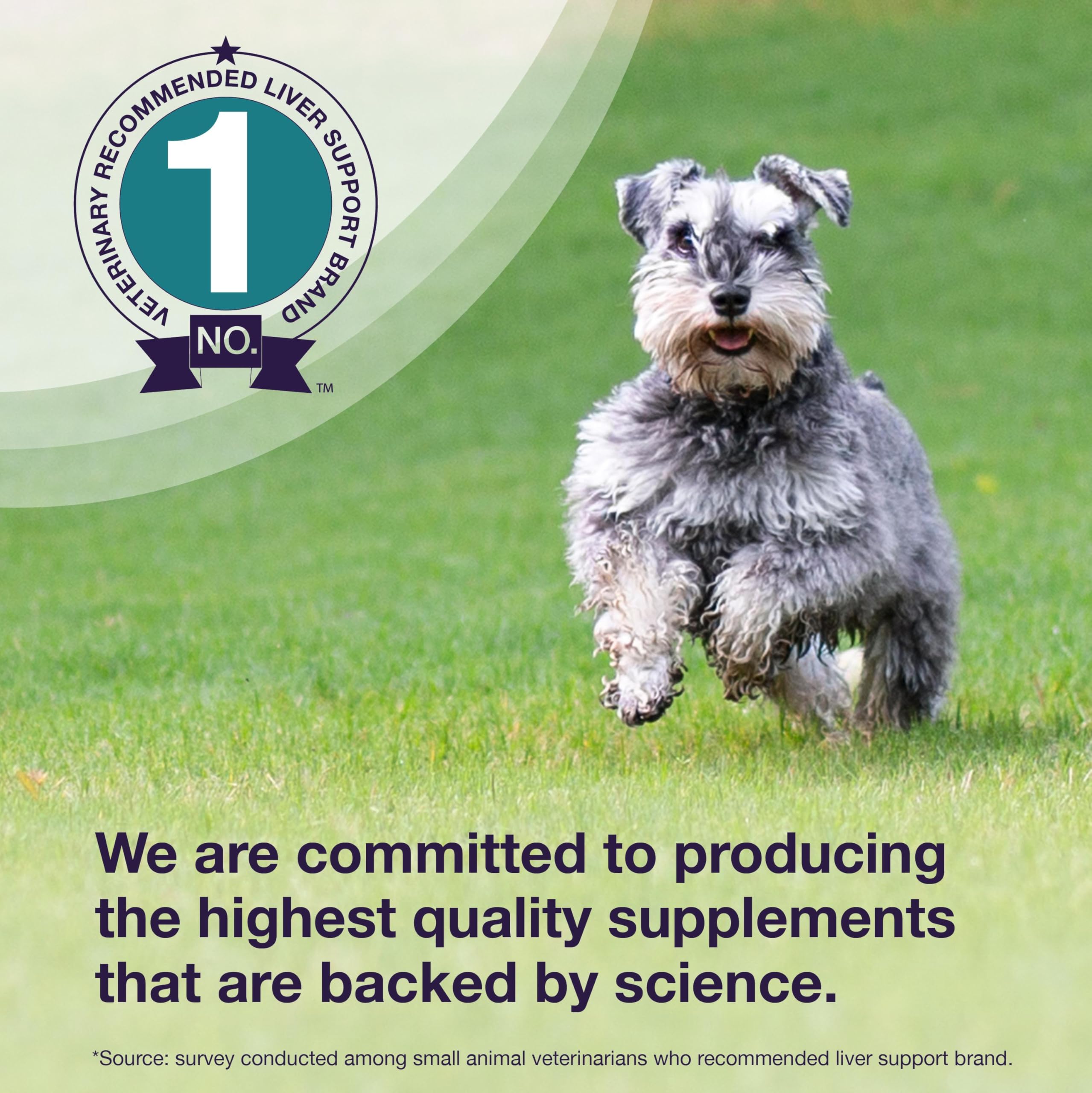 Nutramax Denamarin for Medium Dogs, Liver Health Supplement with S-adenosylmethionine (SAMe) plus Silybin, Liver Support for Dogs, Coated Tablets, 30 Count - Image 4