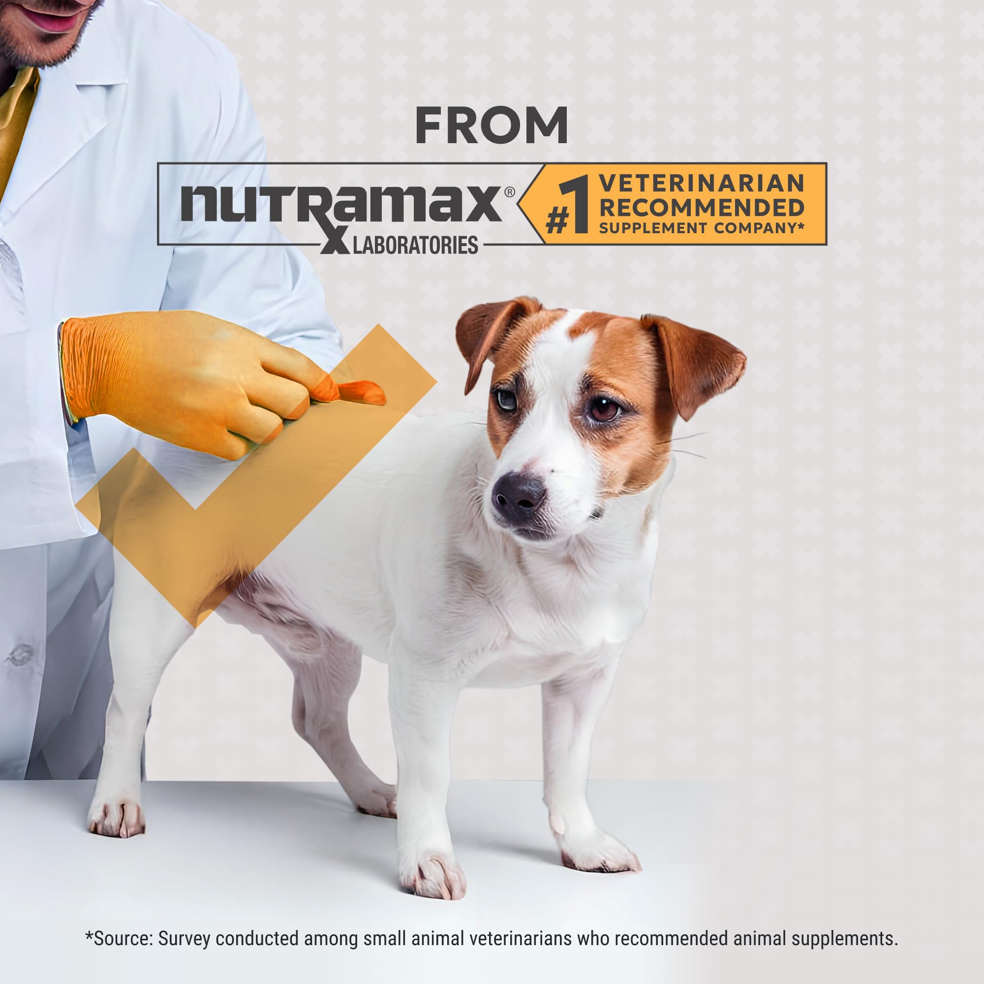 Nutramax Filaquin Anal Gland Supplement for Dogs, from The Same Company as Cosequin & Proviable, with Pre & Postbiotics and Psyllium Husk Fiber to Support Anal Gland Health, 90 Count Soft Chews - Image 4
