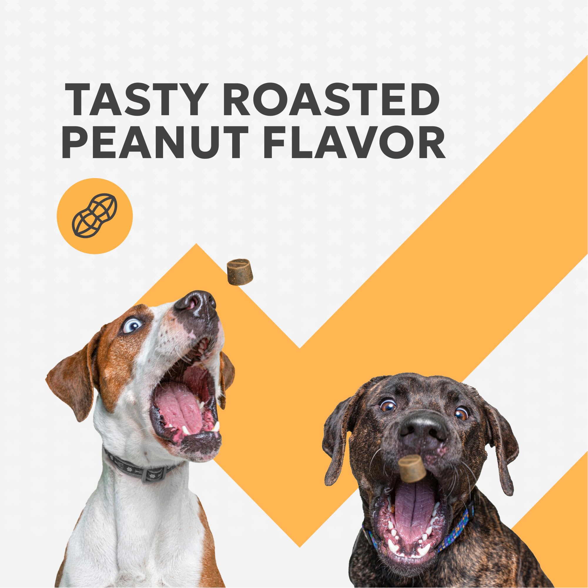 Nutramax Filaquin Anal Gland Supplement for Dogs, from The Same Company as Cosequin & Proviable, with Pre & Postbiotics and Psyllium Husk Fiber to Support Anal Gland Health, 90 Count Soft Chews - Image 6