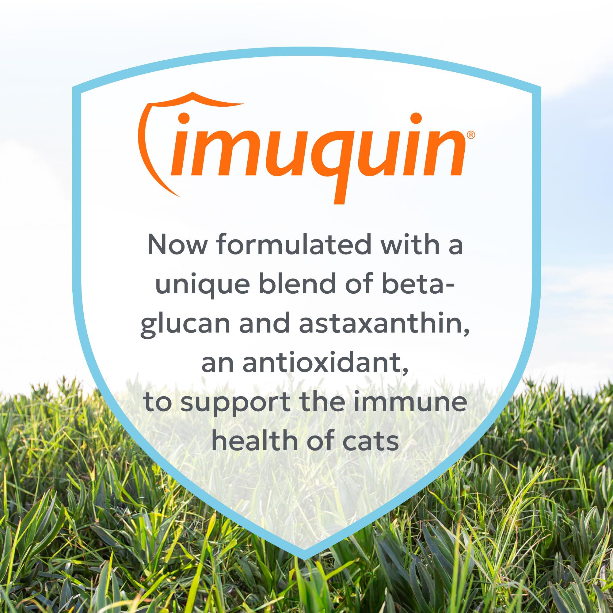 Nutramax Imuquin Immune Health Supplement for Cats, with Astaxanthin and Beta Glucans, 30 Sprinkle Capsules - Image 4