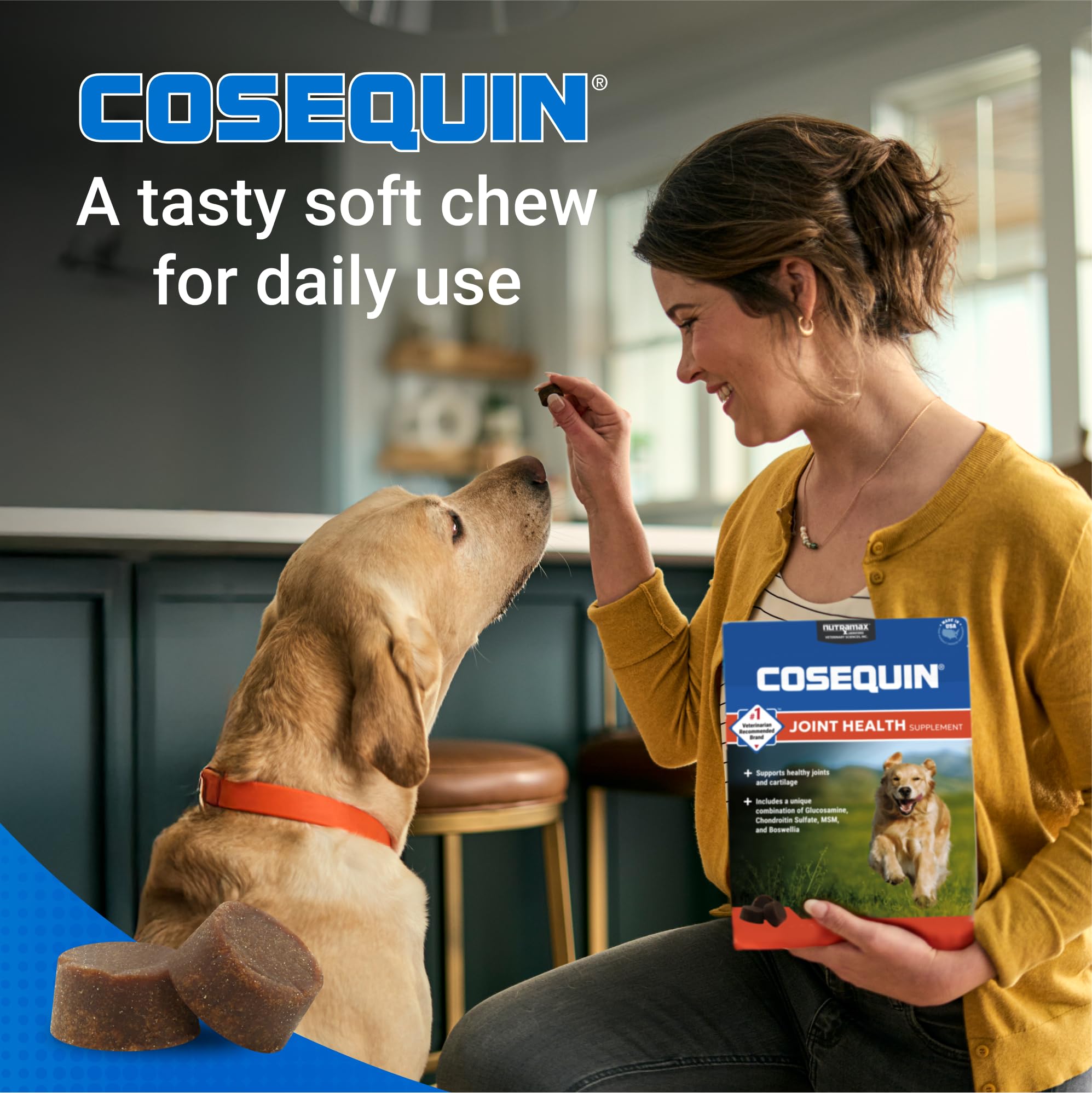 Nutramax Laboratories Cosequin DS Plus MSM Professional Line for Dogs, 60 Soft Chews - Image 4
