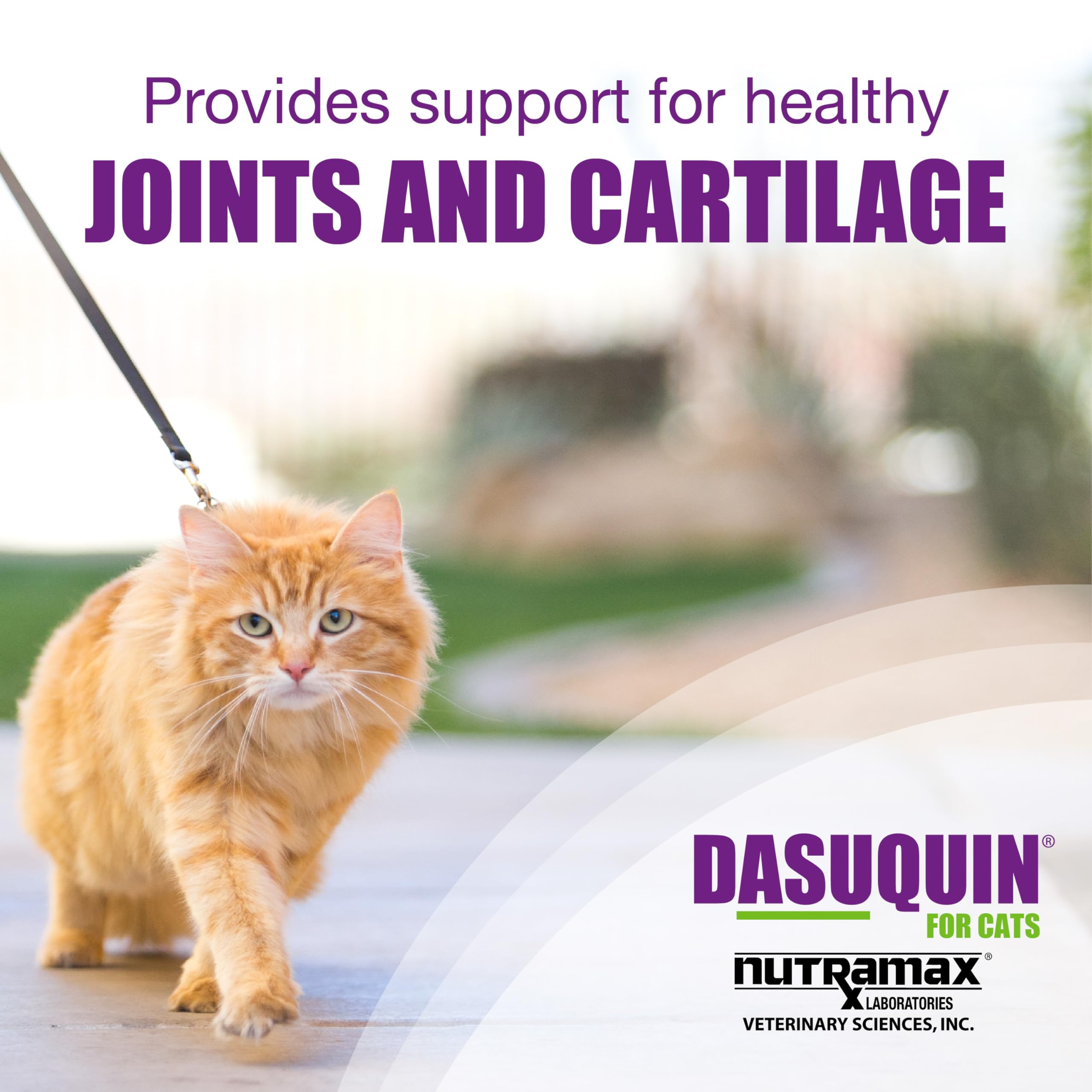 Nutramax Laboratories Dasuquin Joint Health Supplement for Cats - With Glucosamine, Chondroitin, ASU, Boswellia Serrata Extract, and Green Tea Extract, 84 Capsules - Image 3