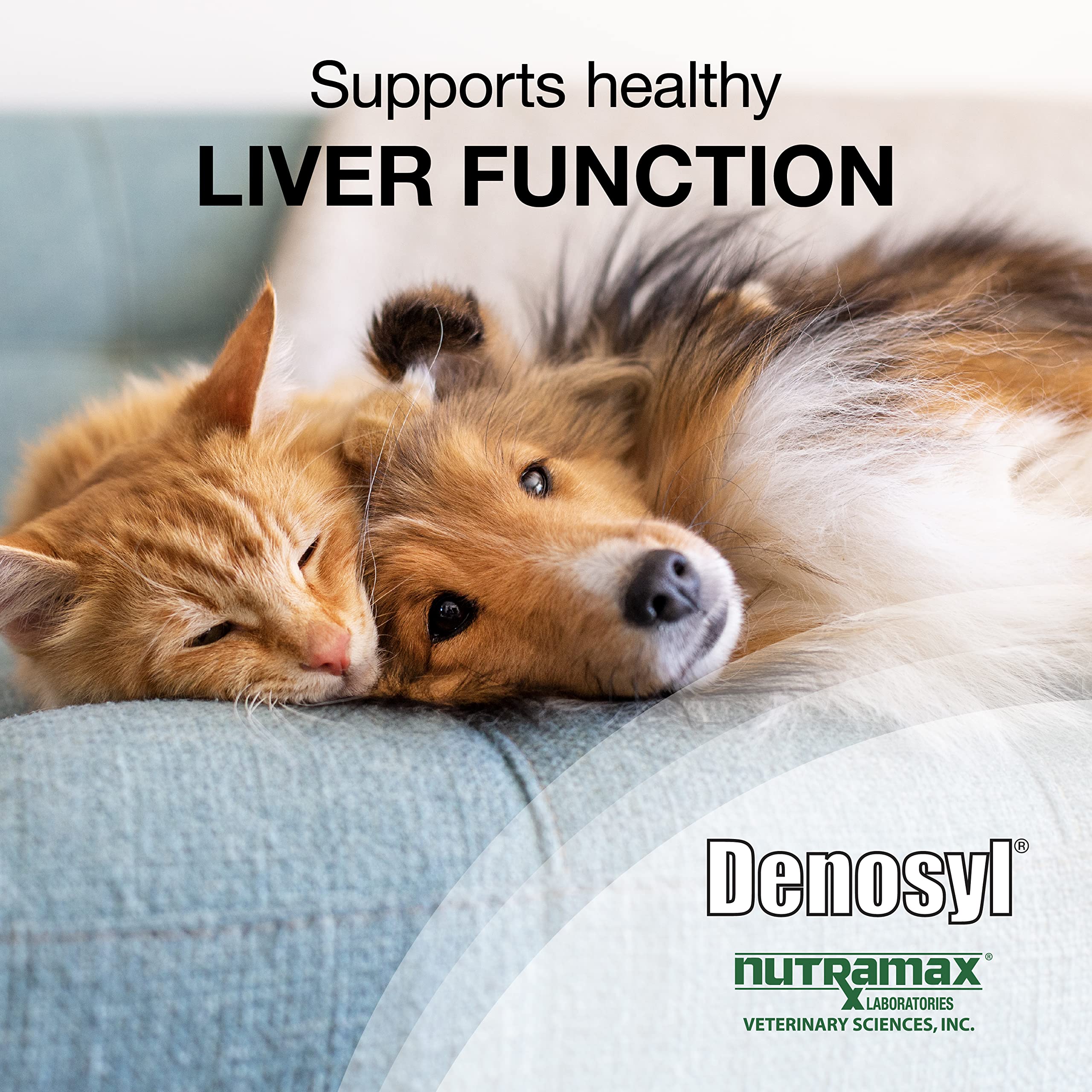 Nutramax Laboratories Denosyl for Dogs and Cats, Liver Health Supplement for Cats and Small Dogs, with S-adenosylmethionine (SAMe), Stabilized Tablets, 30 Count - Image 3
