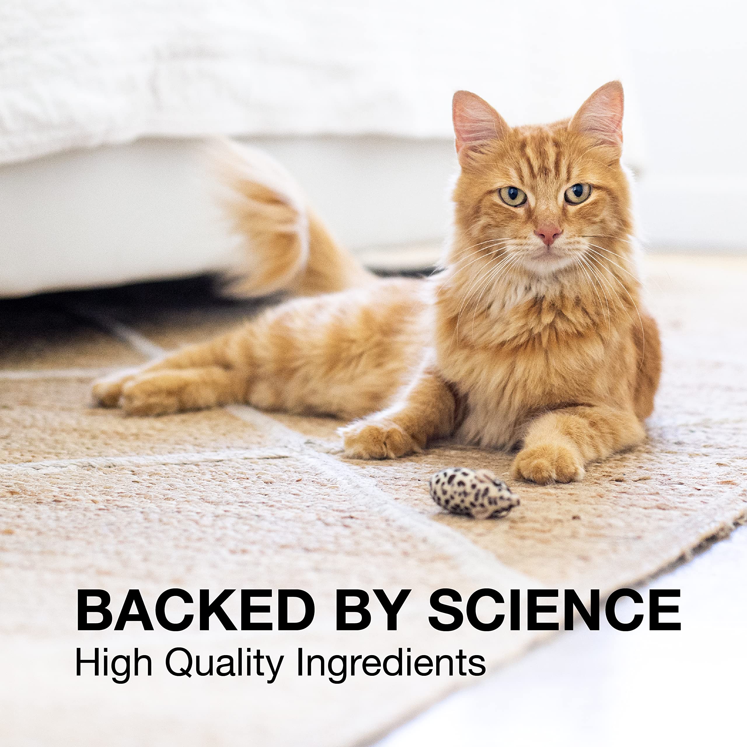 Nutramax Laboratories Denosyl for Dogs and Cats, Liver Health Supplement for Cats and Small Dogs, with S-adenosylmethionine (SAMe), Stabilized Tablets, 30 Count - Image 5