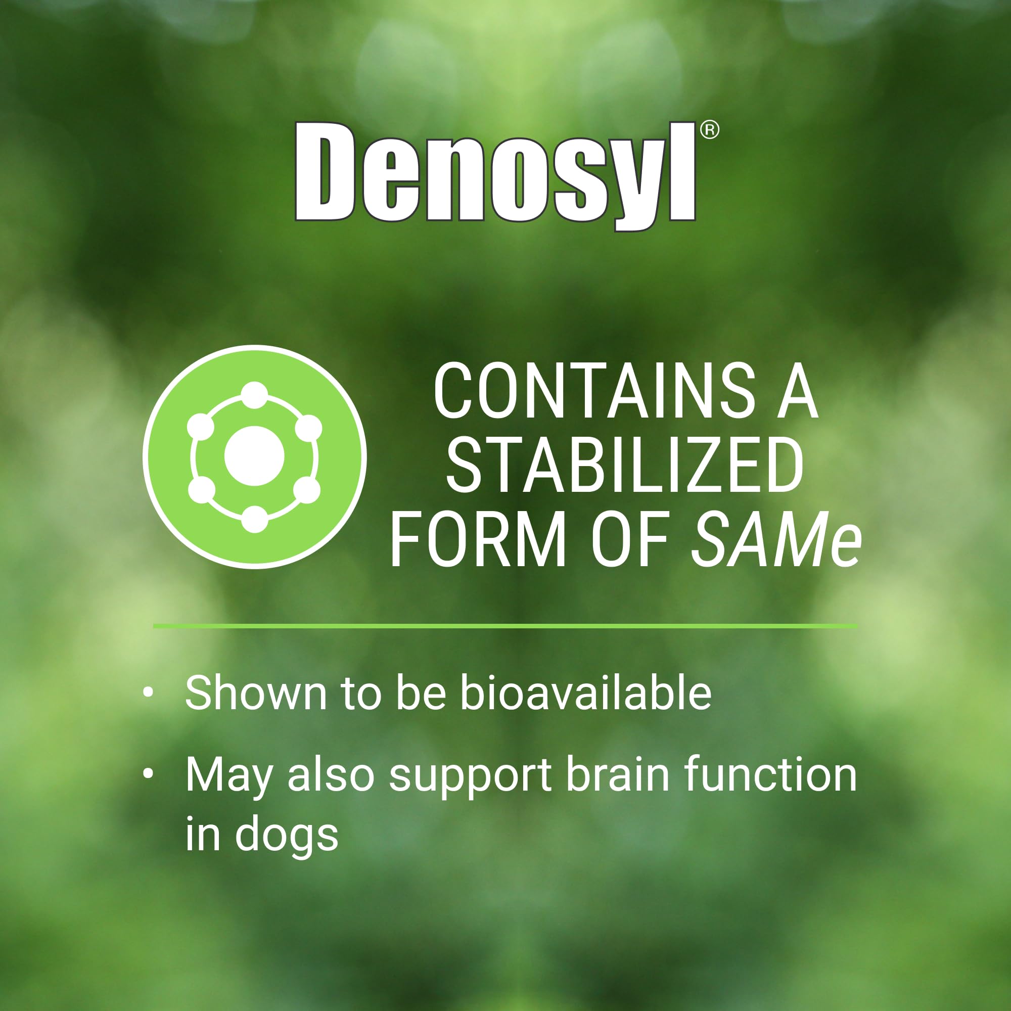 Nutramax Laboratories Denosyl for Dogs, Liver and Brain Health Supplement for Medium Dogs, with S-adenosylmethionine (SAMe), Stabilized Tablets, 30 Count - Image 3