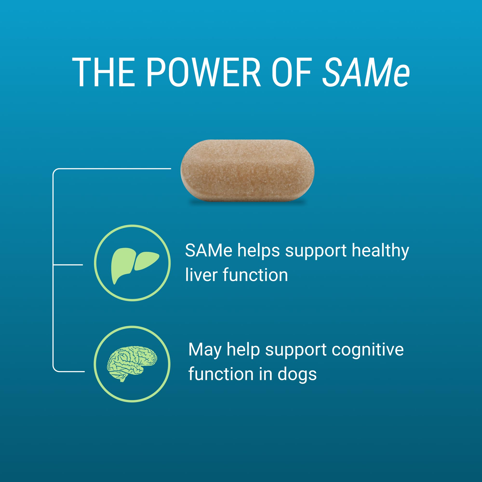 Nutramax Laboratories Denosyl for Dogs, Liver and Brain Health Supplement for Medium Dogs, with S-adenosylmethionine (SAMe), Stabilized Tablets, 30 Count - Image 4