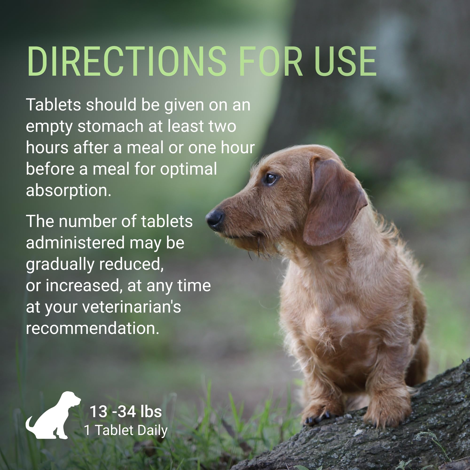 Nutramax Laboratories Denosyl for Dogs, Liver and Brain Health Supplement for Medium Dogs, with S-adenosylmethionine (SAMe), Stabilized Tablets, 30 Count - Image 7