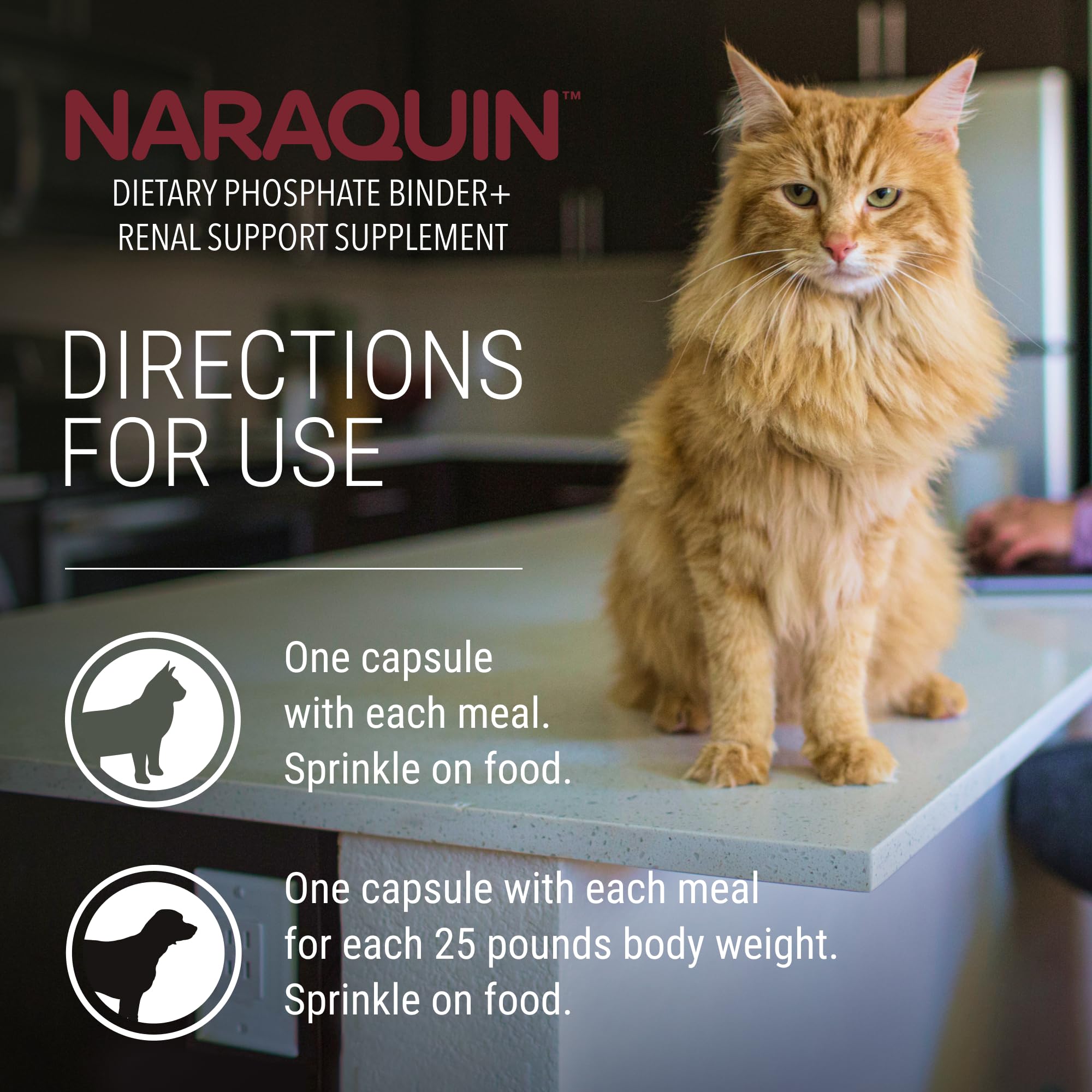Nutramax Laboratories NARAQUIN™ Dietary Phosphate Binder + Renal Support Supplement for Cats & Dogs, 60 Count - Image 7