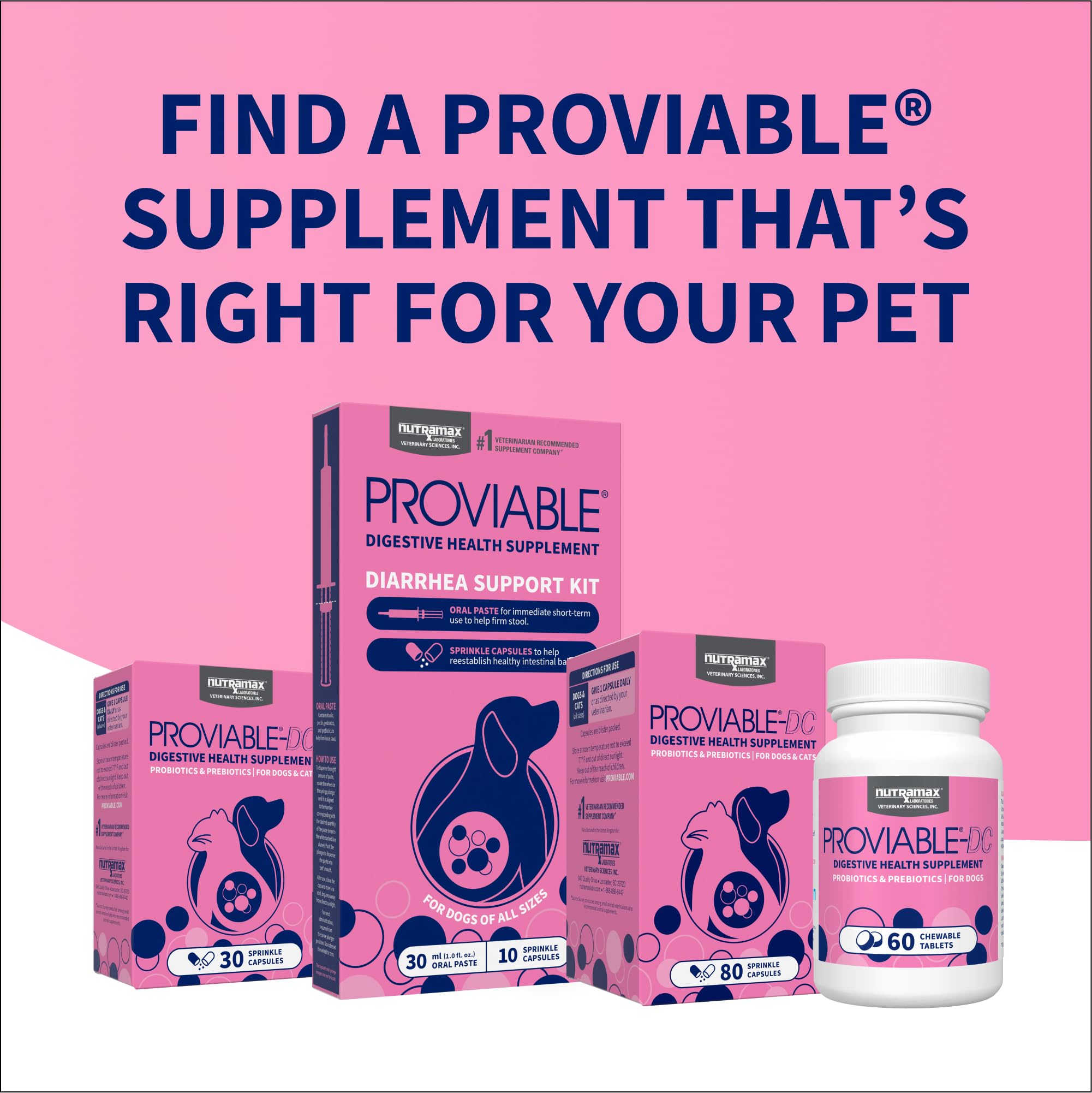 Nutramax Proviable Probiotics for Dogs and Cats, Daily Digestive Health Supplement with Multiple Strains of Bacteria, Cat and Dog Probiotics Plus Prebiotics, 80 Capsules - Image 10