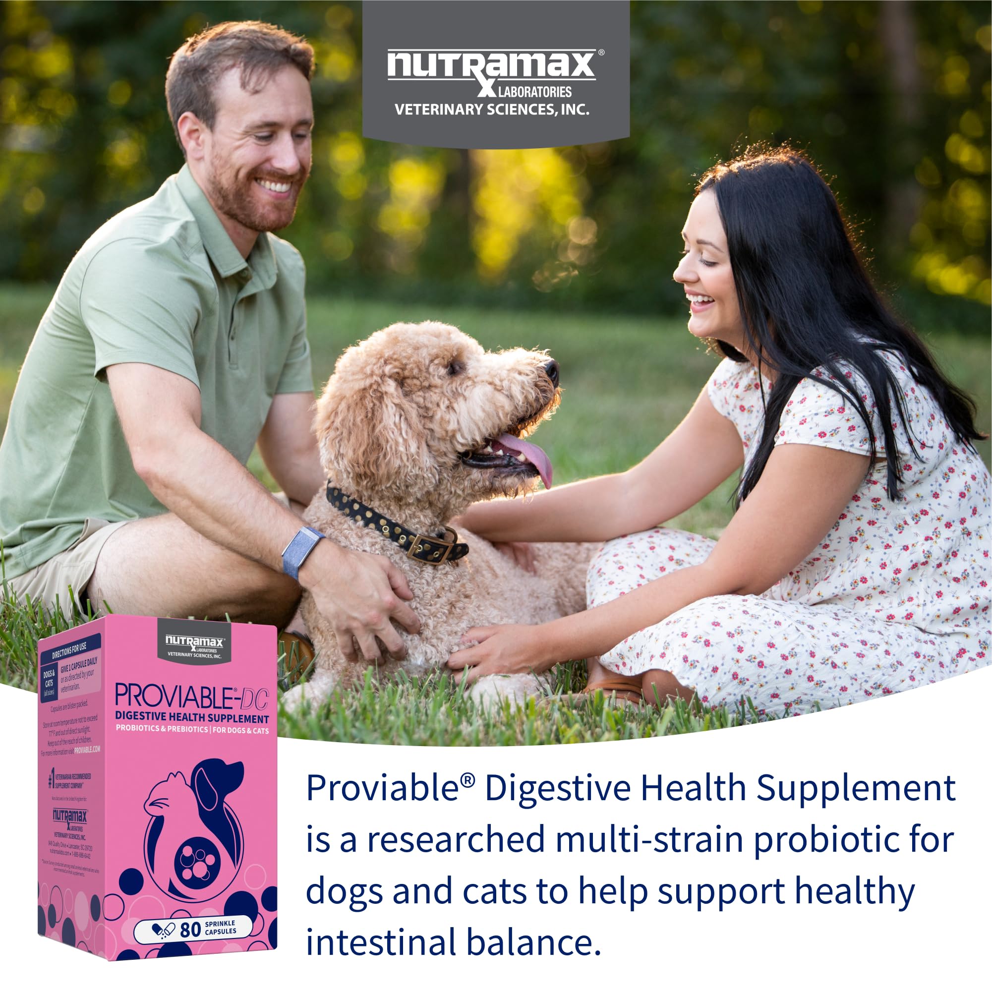 Nutramax Proviable Probiotics for Dogs and Cats, Daily Digestive Health Supplement with Multiple Strains of Bacteria, Cat and Dog Probiotics Plus Prebiotics, 80 Capsules - Image 3