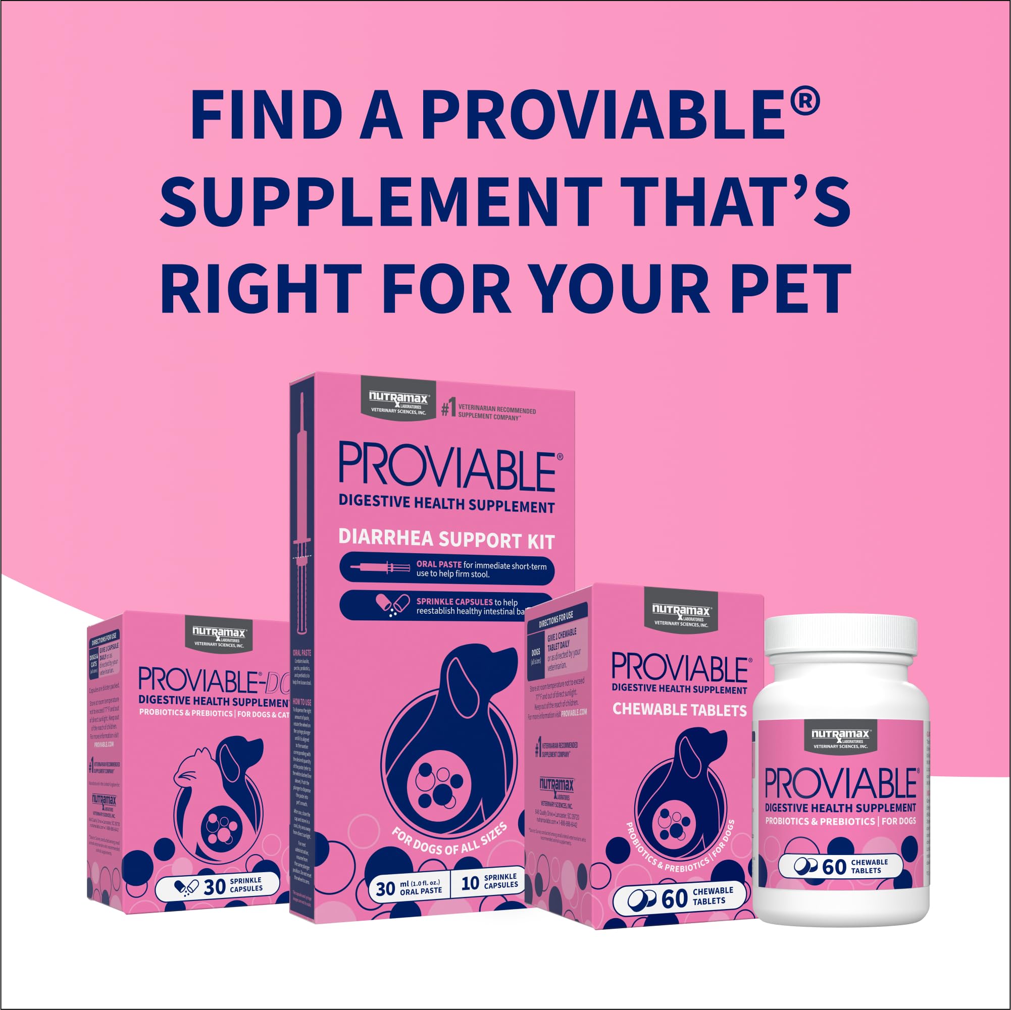 Nutramax Proviable Probiotics for Dogs, Daily Digestive Health Supplement with Multiple Strains of Bacteria, Dog Probiotics Plus Prebiotics, 60 Chewable Tablets - Image 10