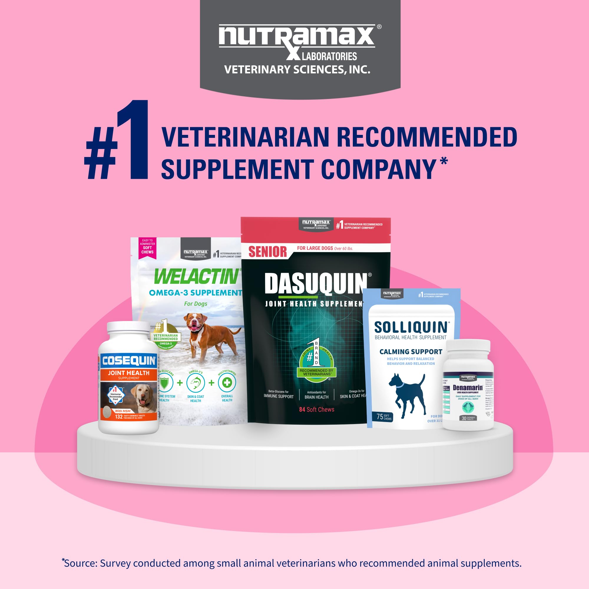 Nutramax Proviable Probiotics for Dogs, Diarrhea Support Kit, Digestive Health Supplement with Multiple Strains of Bacteria, Plus Prebiotics, Kaolin and Pectin, 30 ml Paste and 10 Capsules - Image 13