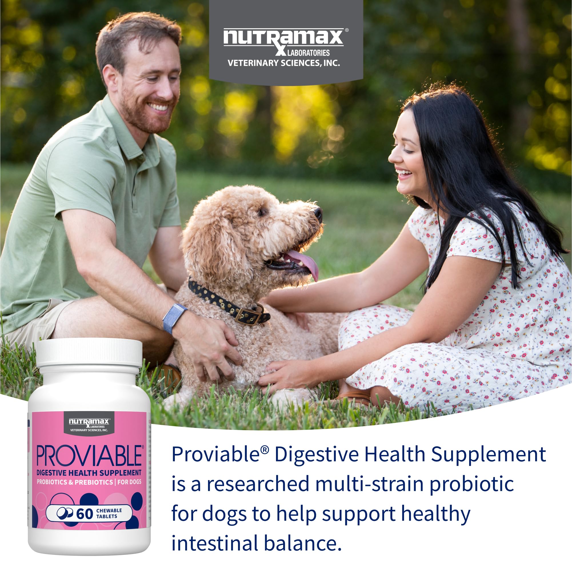 Nutramax Proviable Probiotics for Dogs, Daily Digestive Health Supplement with Multiple Strains of Bacteria, Dog Probiotics Plus Prebiotics, 60 Chewable Tablets - Image 3