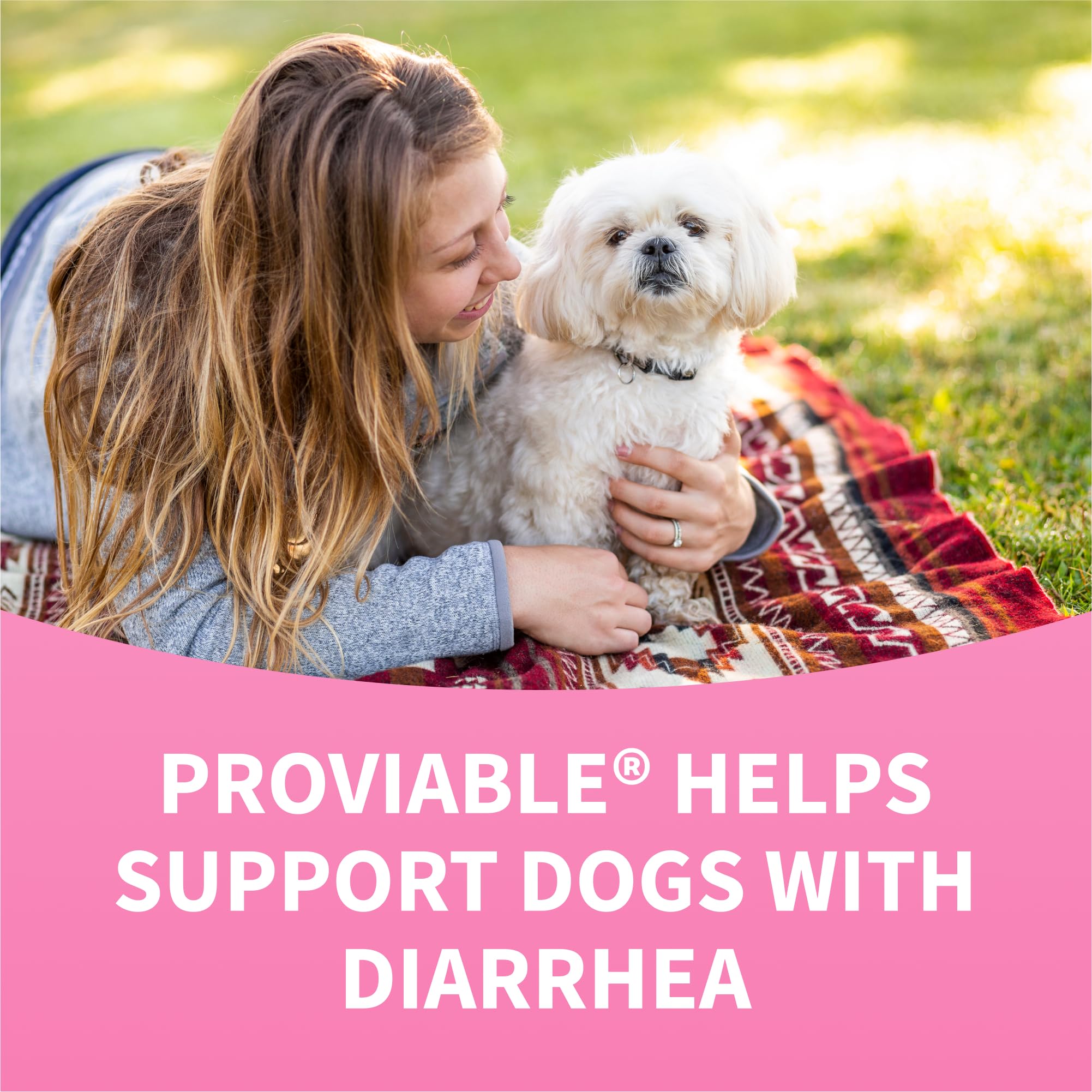 Nutramax Proviable Probiotics for Dogs, Daily Digestive Health Supplement with Multiple Strains of Bacteria, Dog Probiotics Plus Prebiotics, 60 Chewable Tablets - Image 8