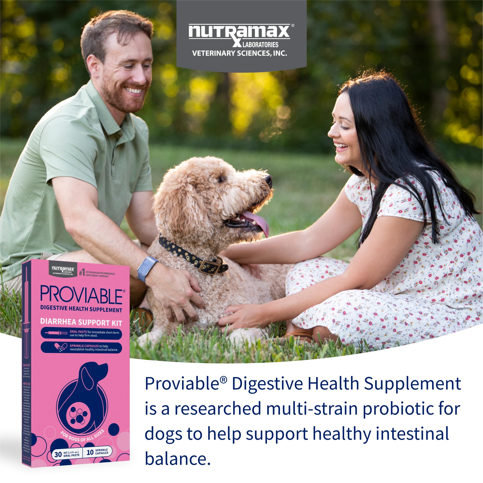 Nutramax Proviable Probiotics for Dogs, Diarrhea Support Kit, Digestive Health Supplement with Multiple Strains of Bacteria, Plus Prebiotics, Kaolin and Pectin, 30 ml Paste and 10 Capsules - Image 3