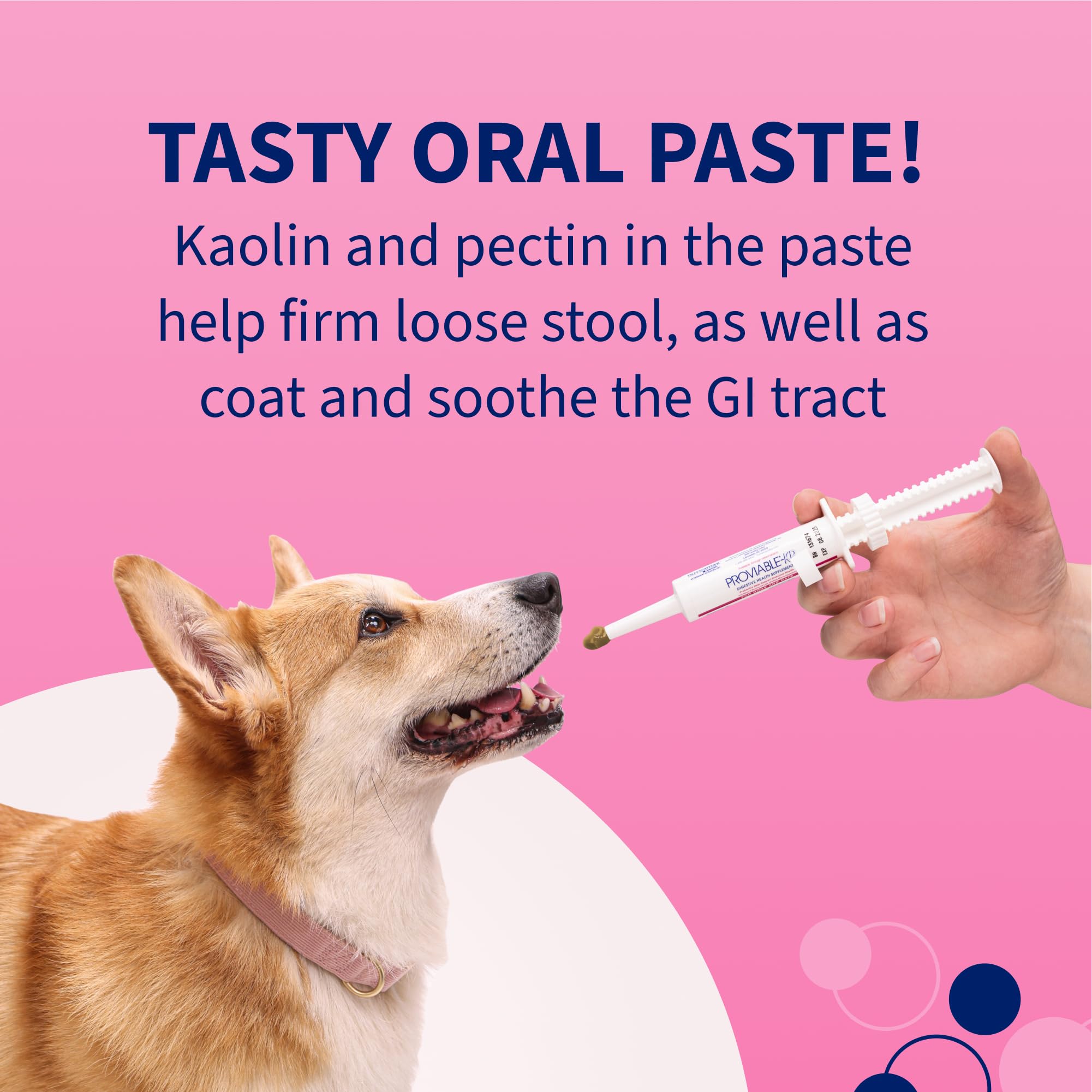 Nutramax Proviable Probiotics for Dogs, Diarrhea Support Kit, Digestive Health Supplement with Multiple Strains of Bacteria, Plus Prebiotics, Kaolin and Pectin, 30 ml Paste and 10 Capsules - Image 7