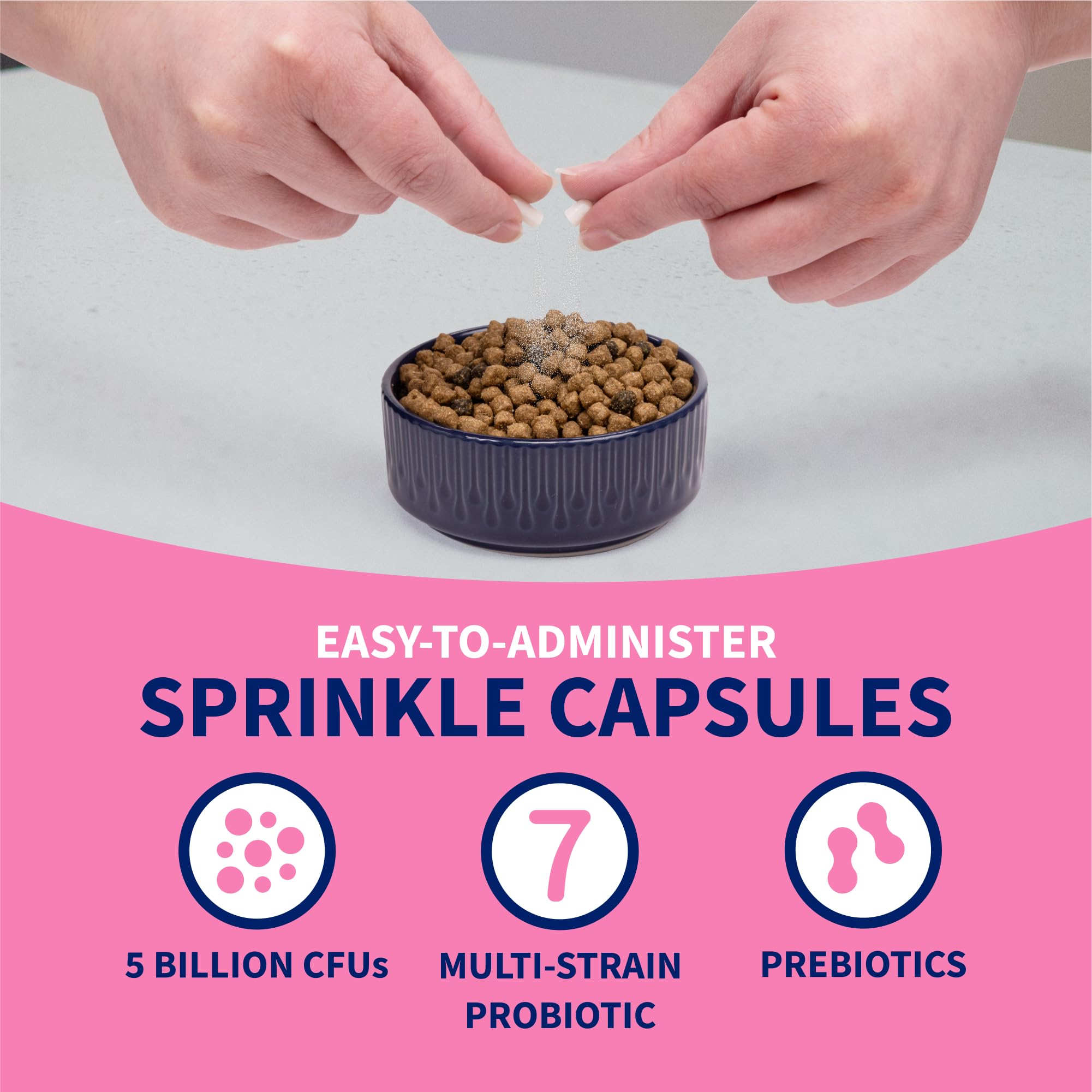 Nutramax Proviable Probiotics for Dogs, Diarrhea Support Kit, Digestive Health Supplement with Multiple Strains of Bacteria, Plus Prebiotics, Kaolin and Pectin, 30 ml Paste and 10 Capsules - Image 8