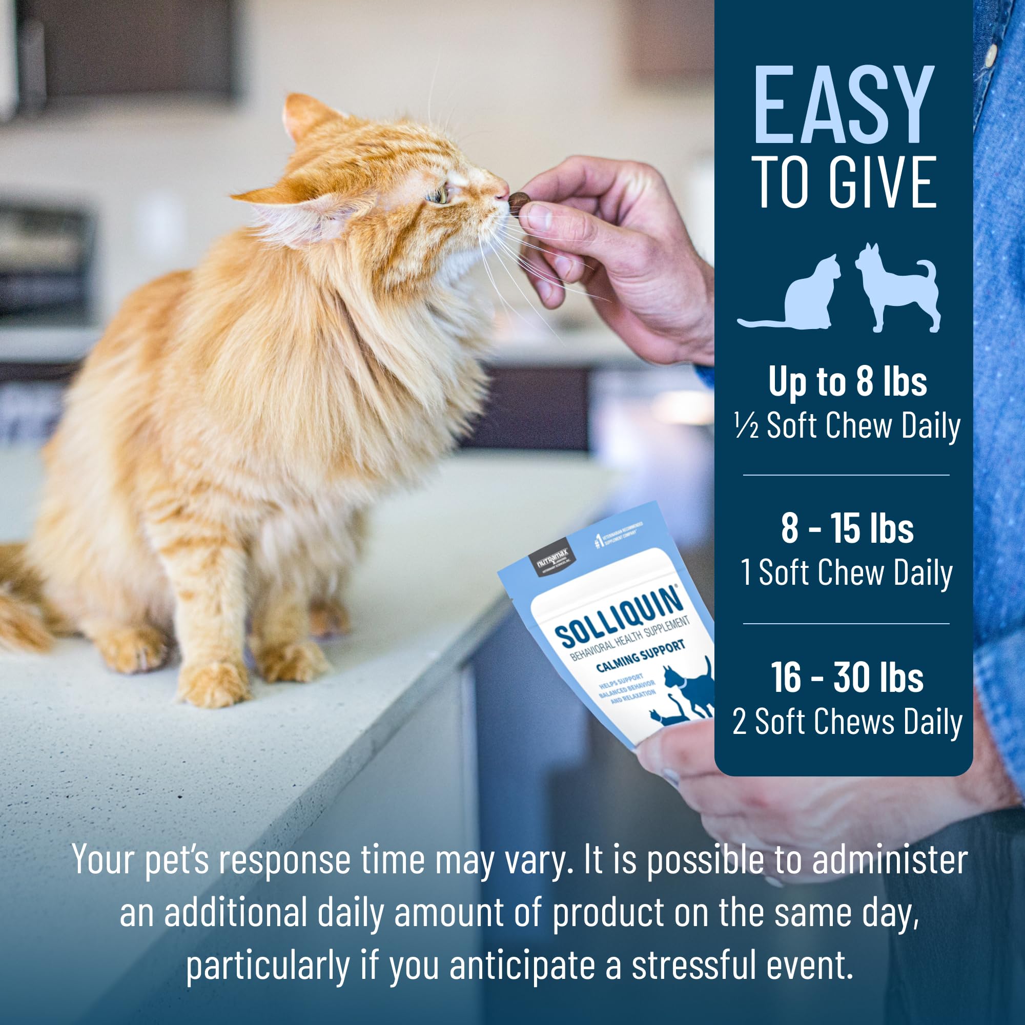 Nutramax Solliquin Calming Behavioral Health Supplement for Small to Medium Dogs and Cats - With L-Theanine, Magnolia / Phellodendron, and Whey Protein Concentrate, 75 Soft Chews - Image 7