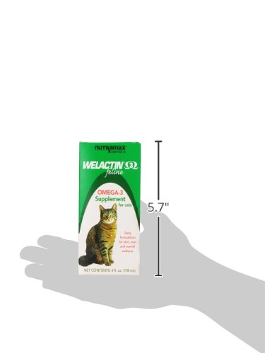 Nutramax Welactin Omega 3 Fish Oil for Cats, Skin and Coat Health Supplement, Plus Kidney, Brain, and Vision Support, Premium Omega 3 Fatty Acids EPA and DHA, 4 Ounce Liquid - Image 3