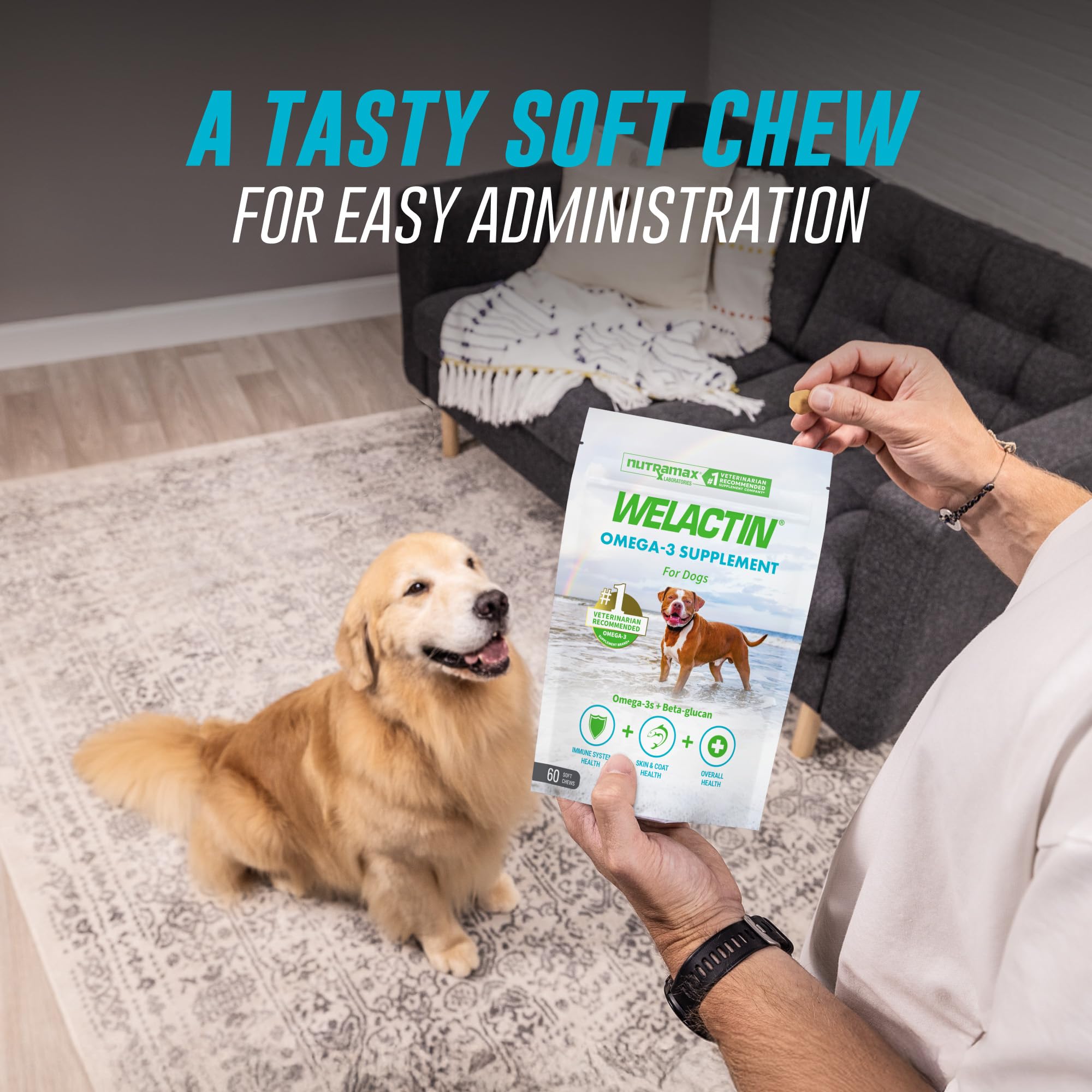 Nutramax Welactin Omega 3 Fish Oil for Dogs, Skin and Coat Health Supplement, Plus Immune and Overall Health, Premium Omega 3 Fatty Acids, Multivitamin For Dogs, Soft Chews, 60 Count - Image 4